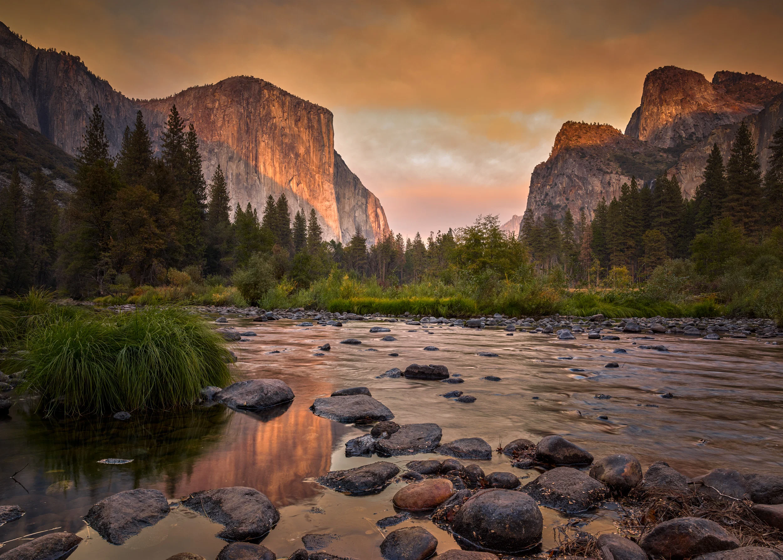 Yosemite National Park