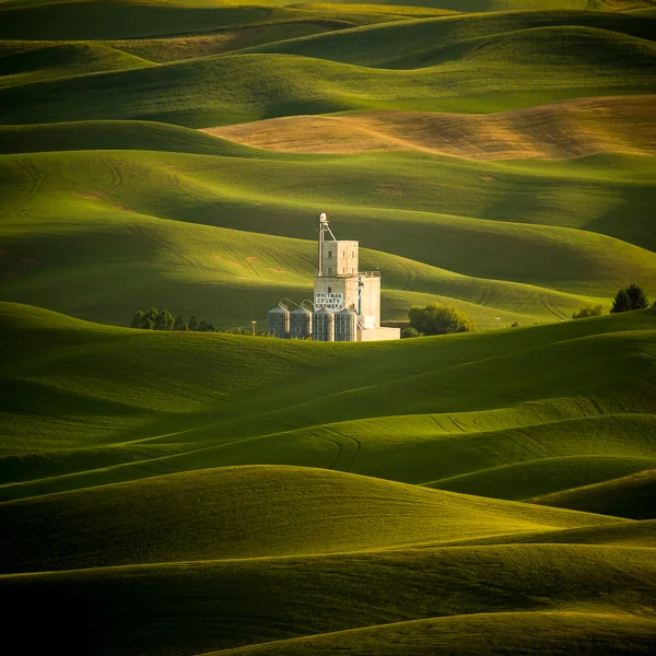 Late day light as seen from Steptoe Butte