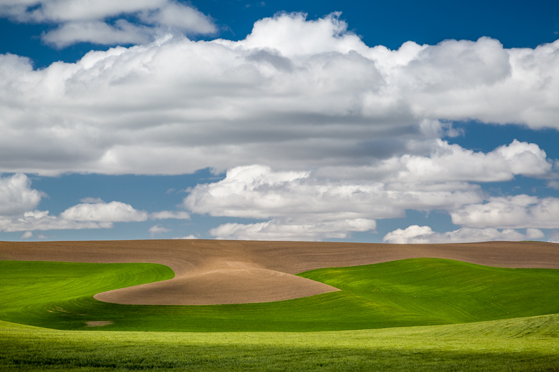 Typical back road scene in Palouse
