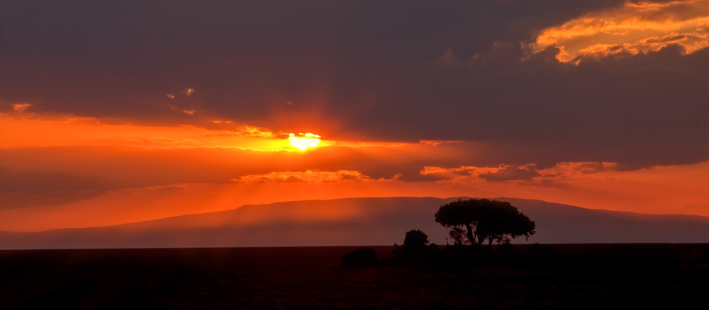 Sunrise over the Serengeti