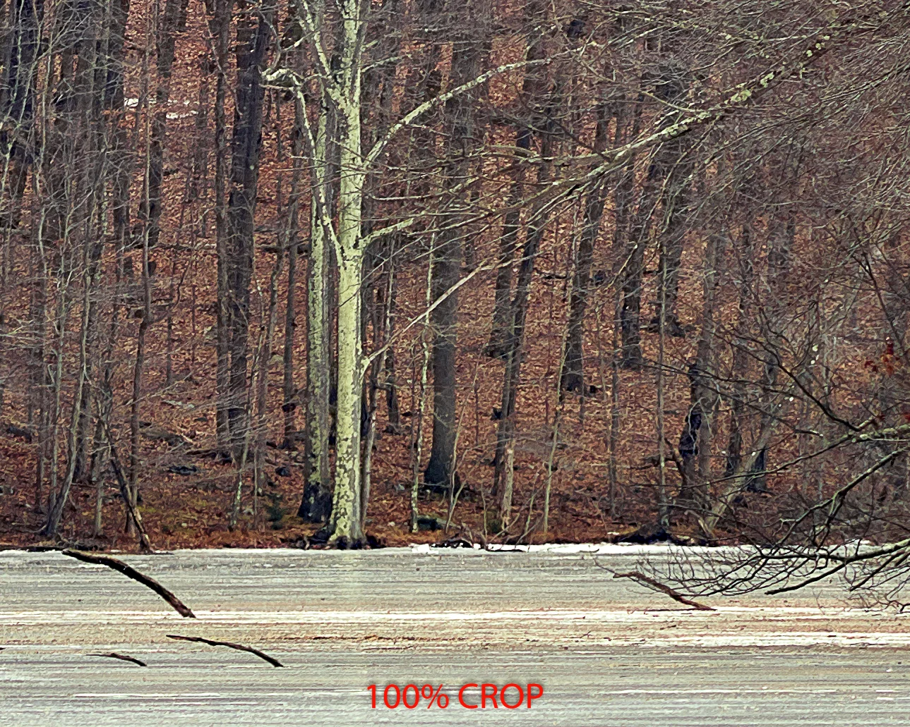 100% crop. This is almost 1/2 mile away!