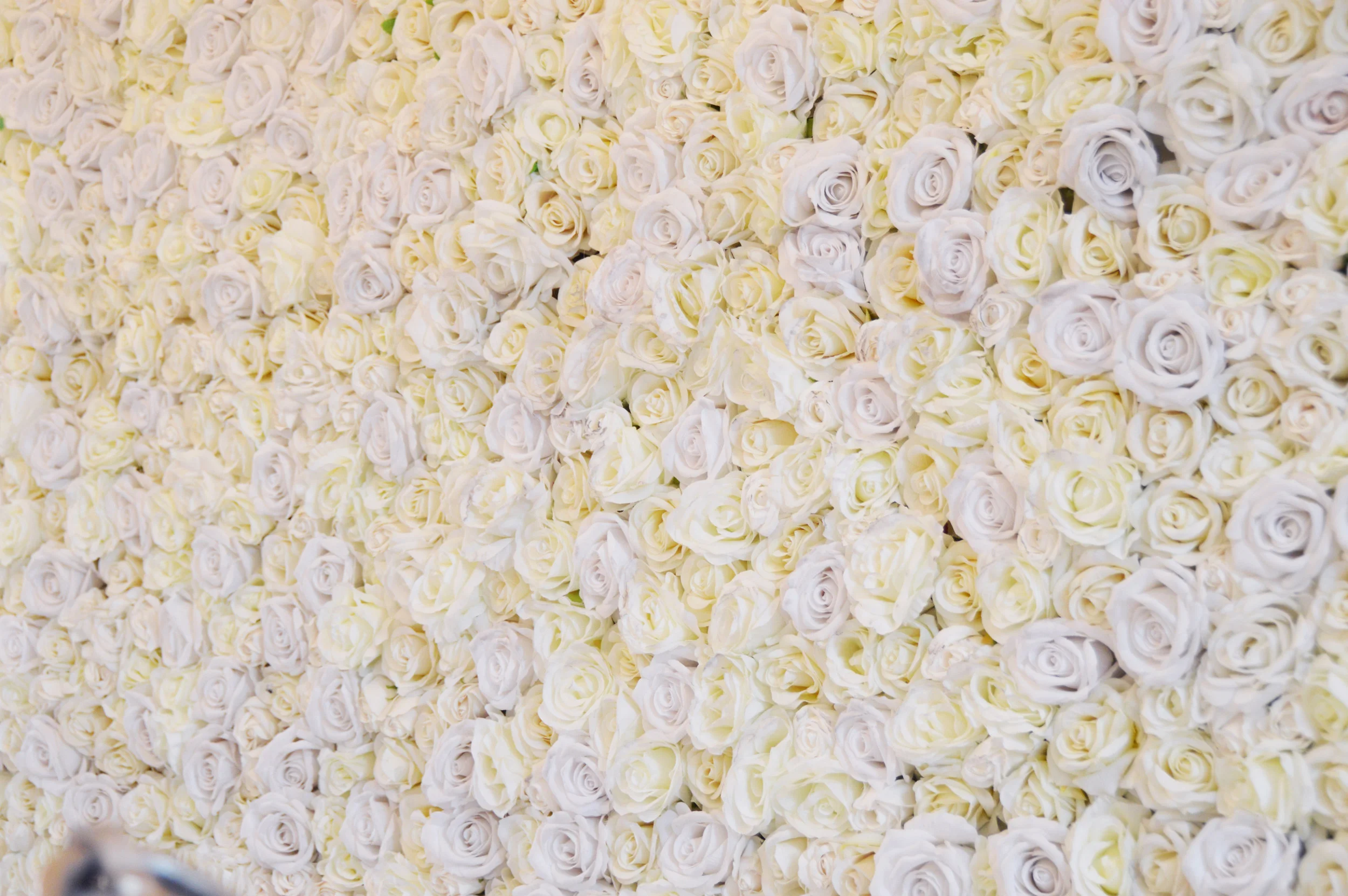 Flower wall