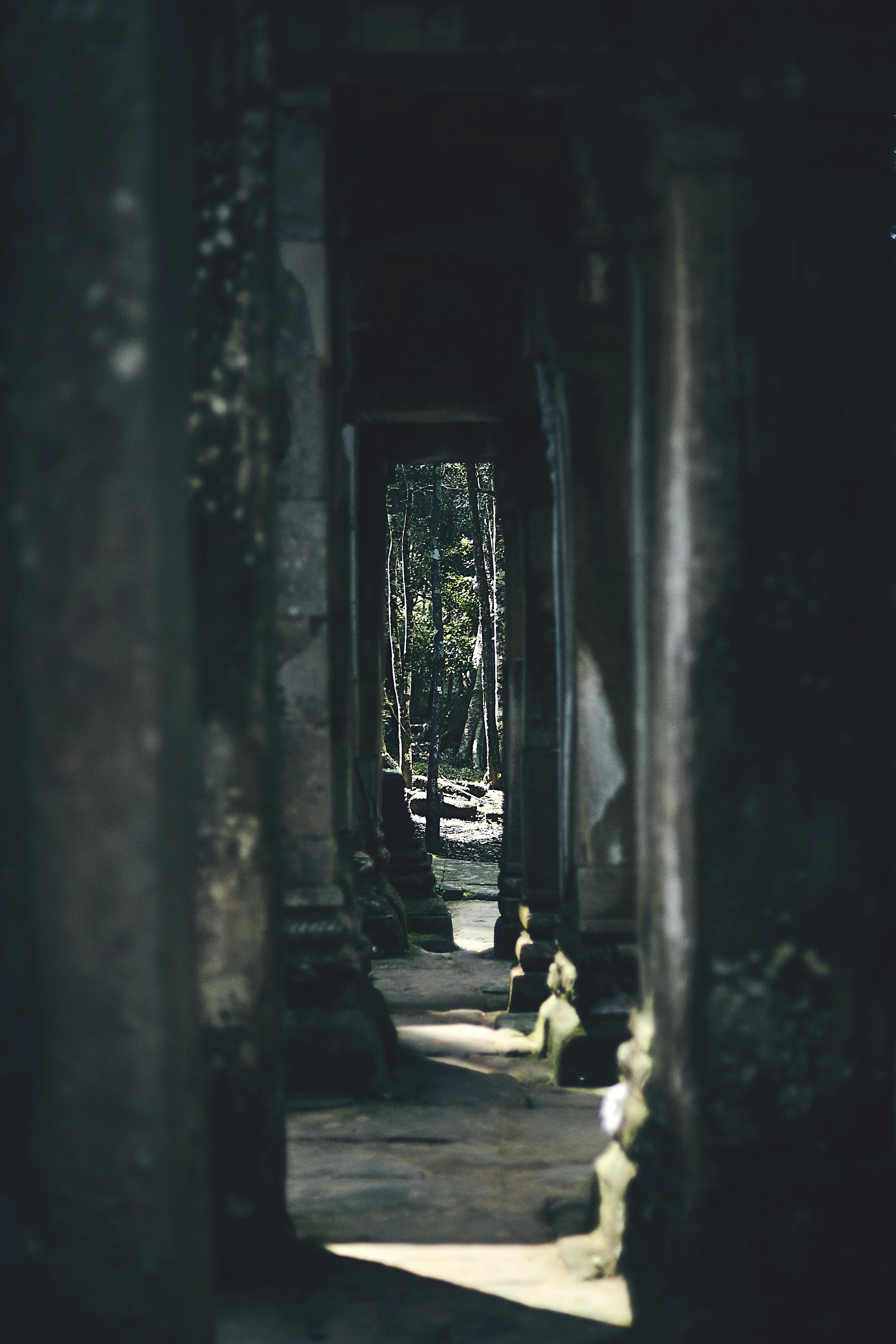 AW_ANGKOR_WAT_CAMBODIA_584 copy.jpg