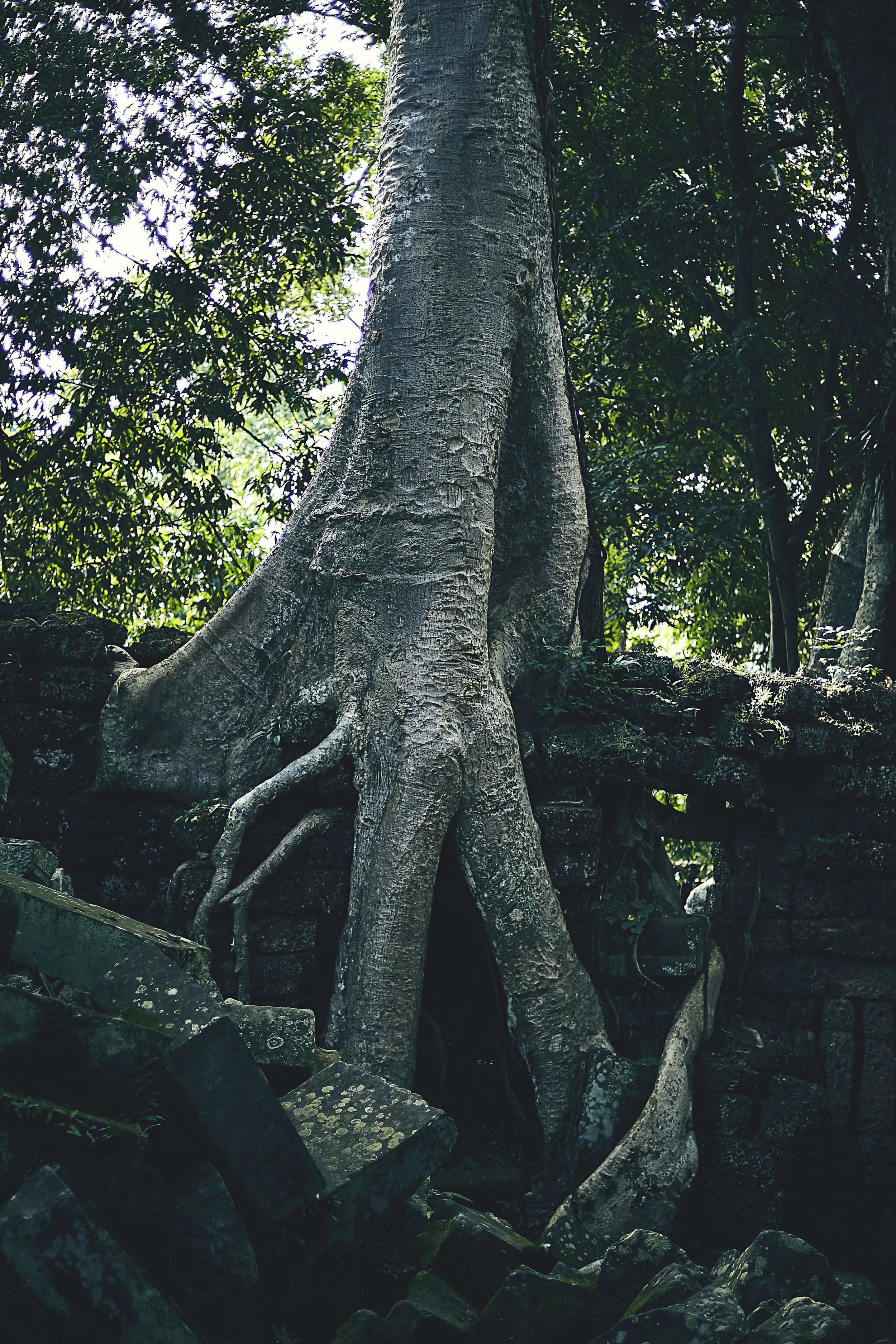 AW_ANGKOR_WAT_CAMBODIA_617 copy.jpg