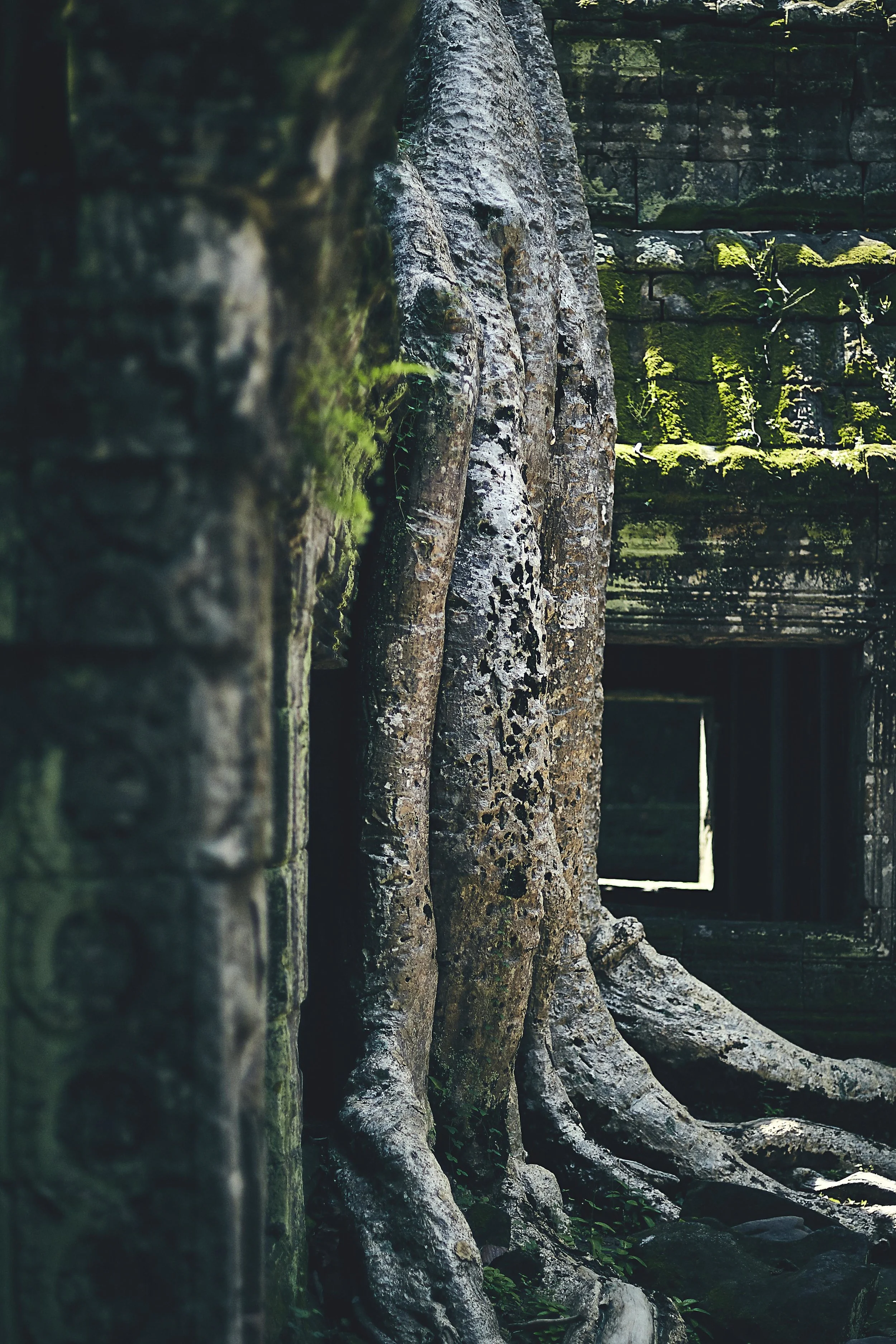 AW_ANGKOR_WAT_CAMBODIA_706 copy.jpg
