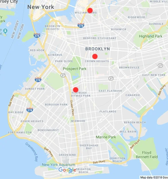 The locations of the families’ roots, in Brooklyn historic neighborhoods.