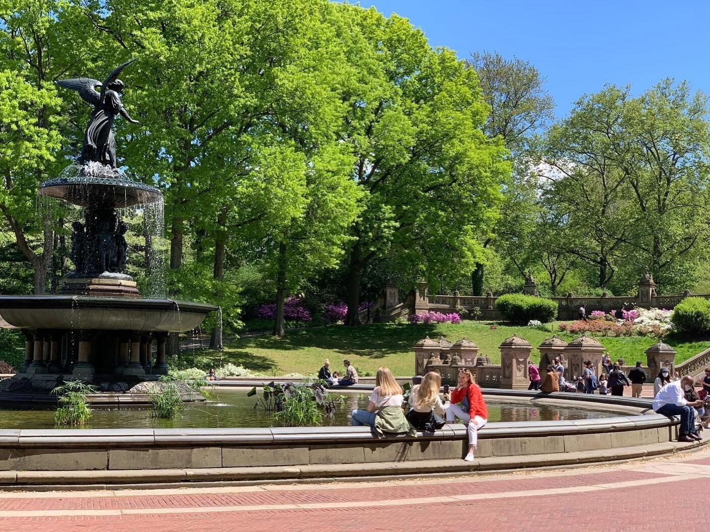 Central Park, the great escape from the city hustle and bustle.

A recent review of our Central Park tour said: &quot;Walk, talk, listen, and learn! Jeremy is a knowledgeable and lively guide who taught us to appreciate the many aspects of Central Pa