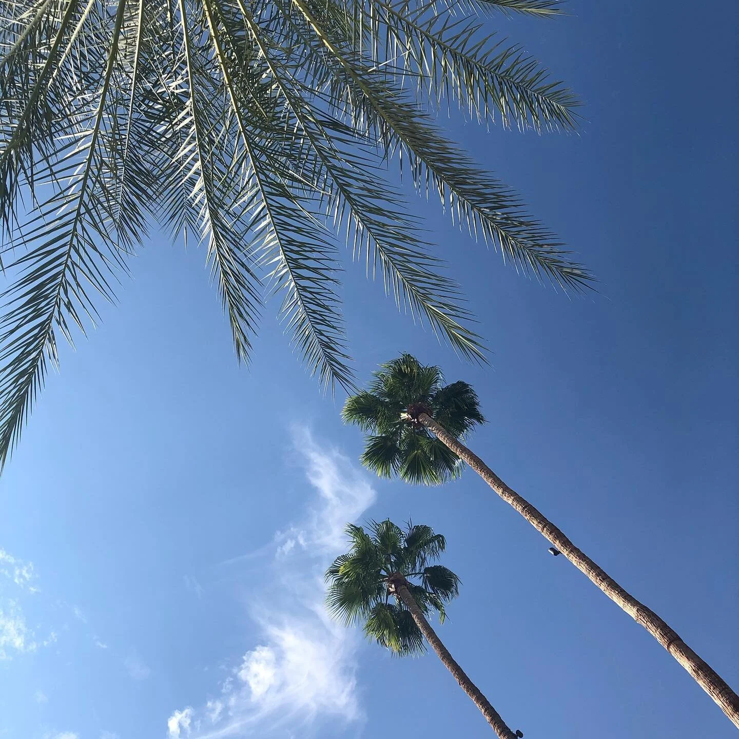 it seems time can never be found, therefore it must be made🎯  #belatedbirthday #palmsprings