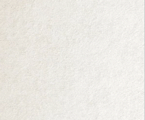 PacLife Banner 300x250