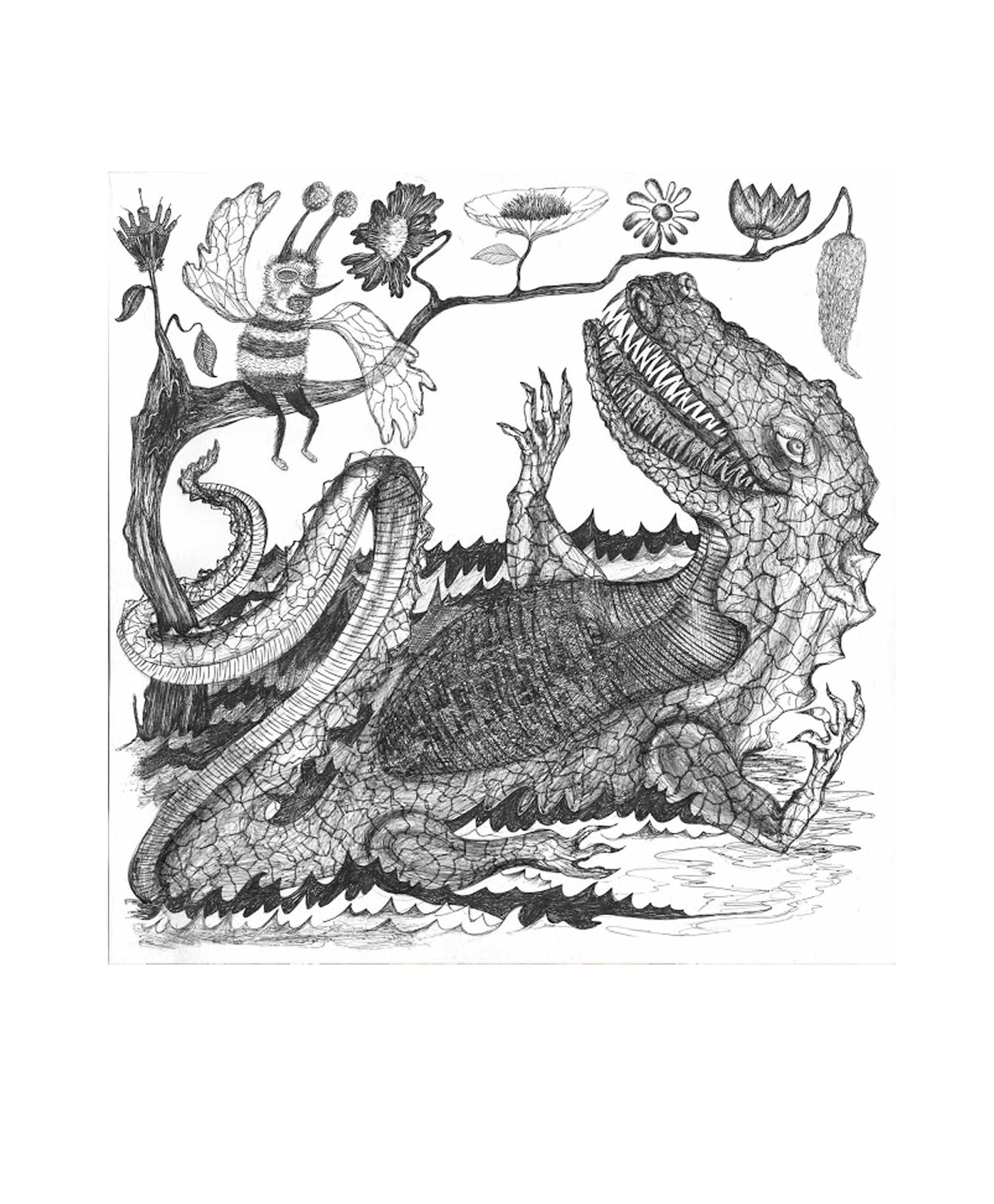 lilcroc1.jpg