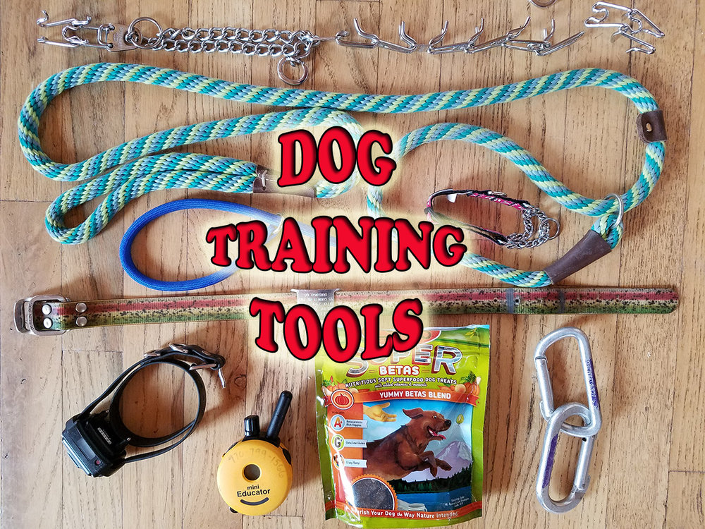 Training Tools — Lead Off-Leash K9 Training
