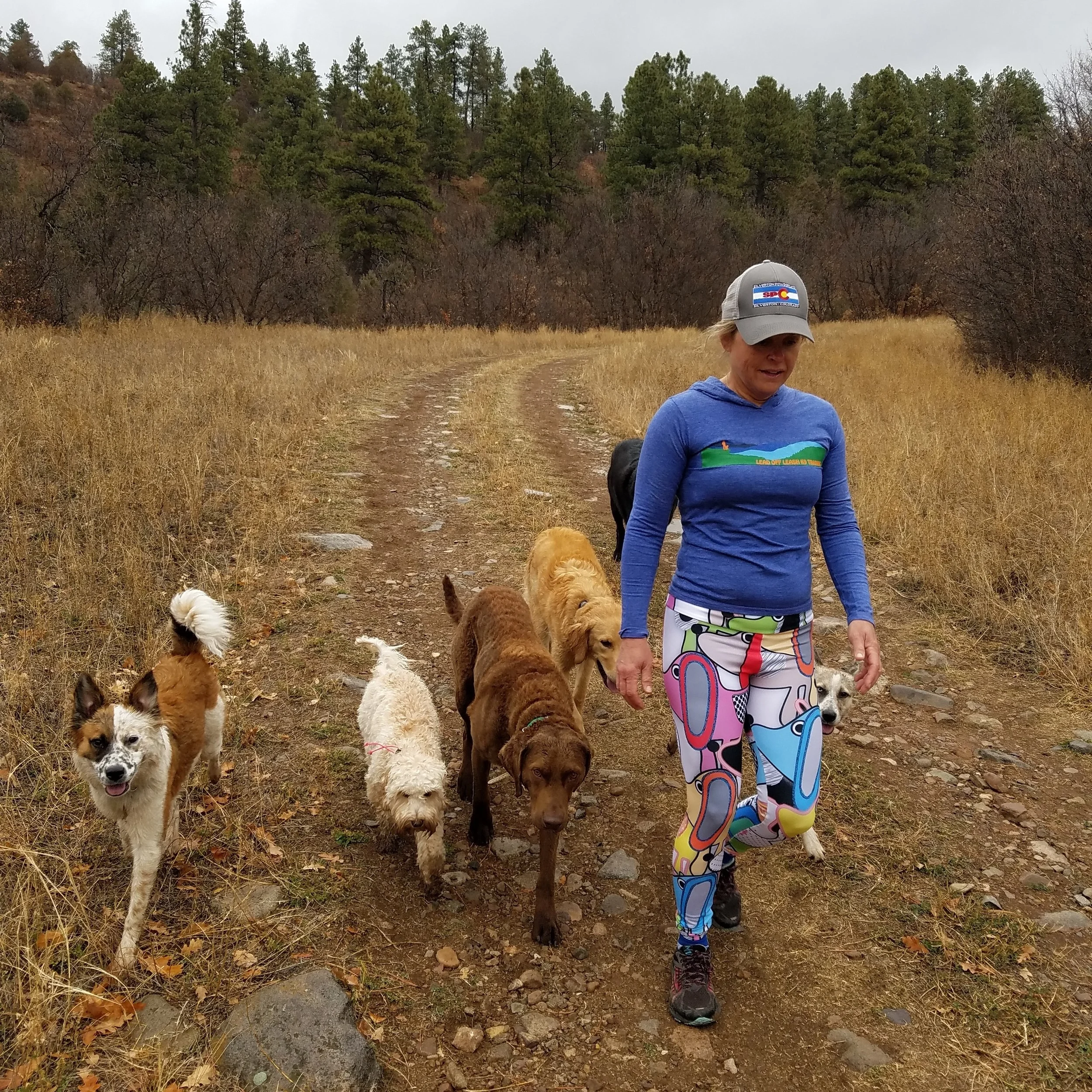 Off sales leash obedience