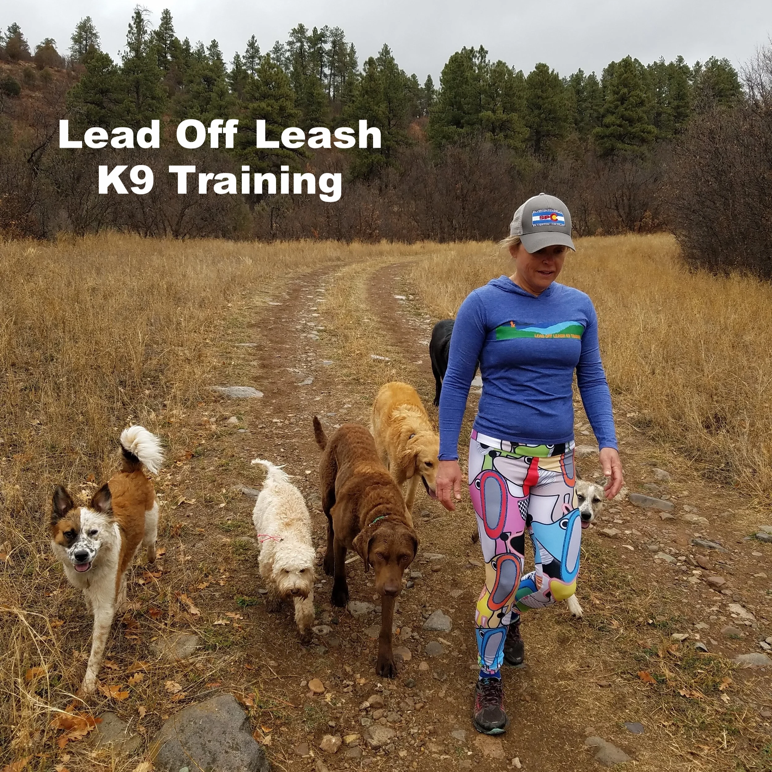 Off the top leash canine training