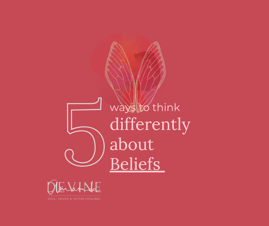                  

 
   At the start of a new week, I like to treat the days ahead as data, to notice what loyalties show up in the background of my decisions, reactions, and beliefs.  It’s not about fixing anything, just gathering information about 