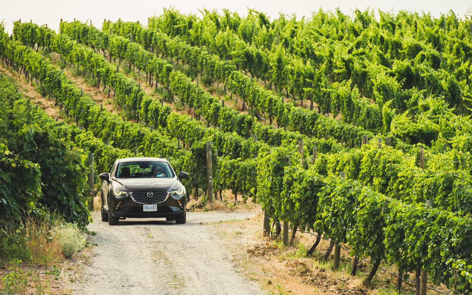 Mazda-Osoyoos-MSP-9328.jpg