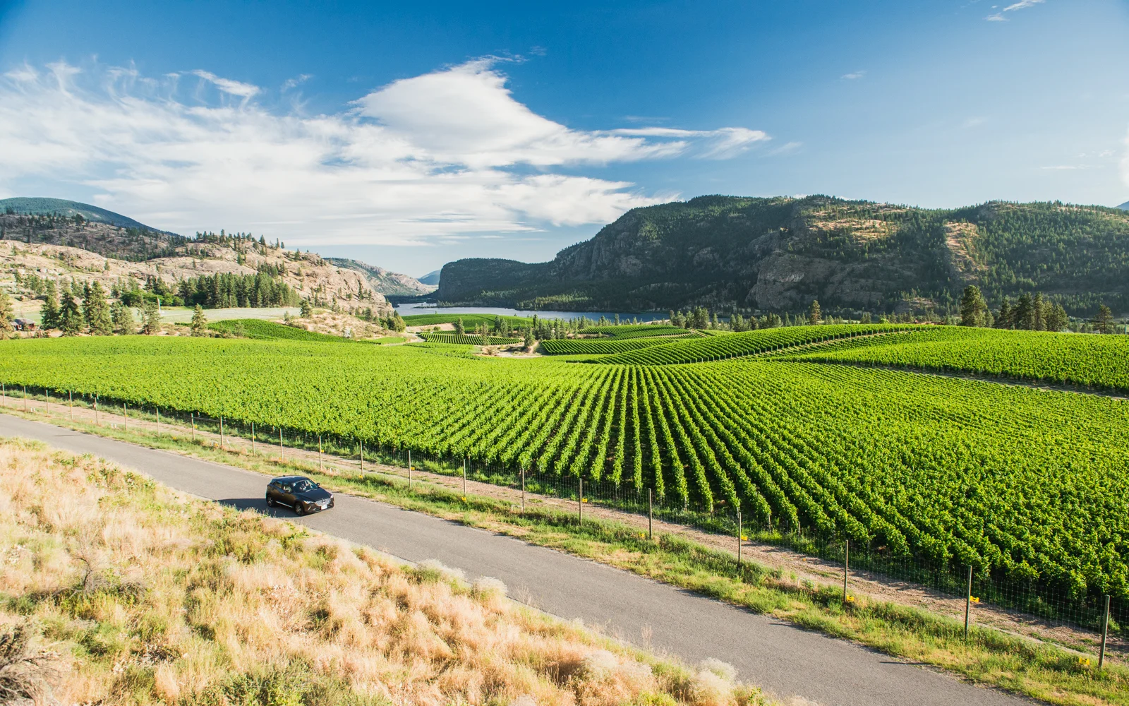 Mazda-Osoyoos-MSP-9519.jpg