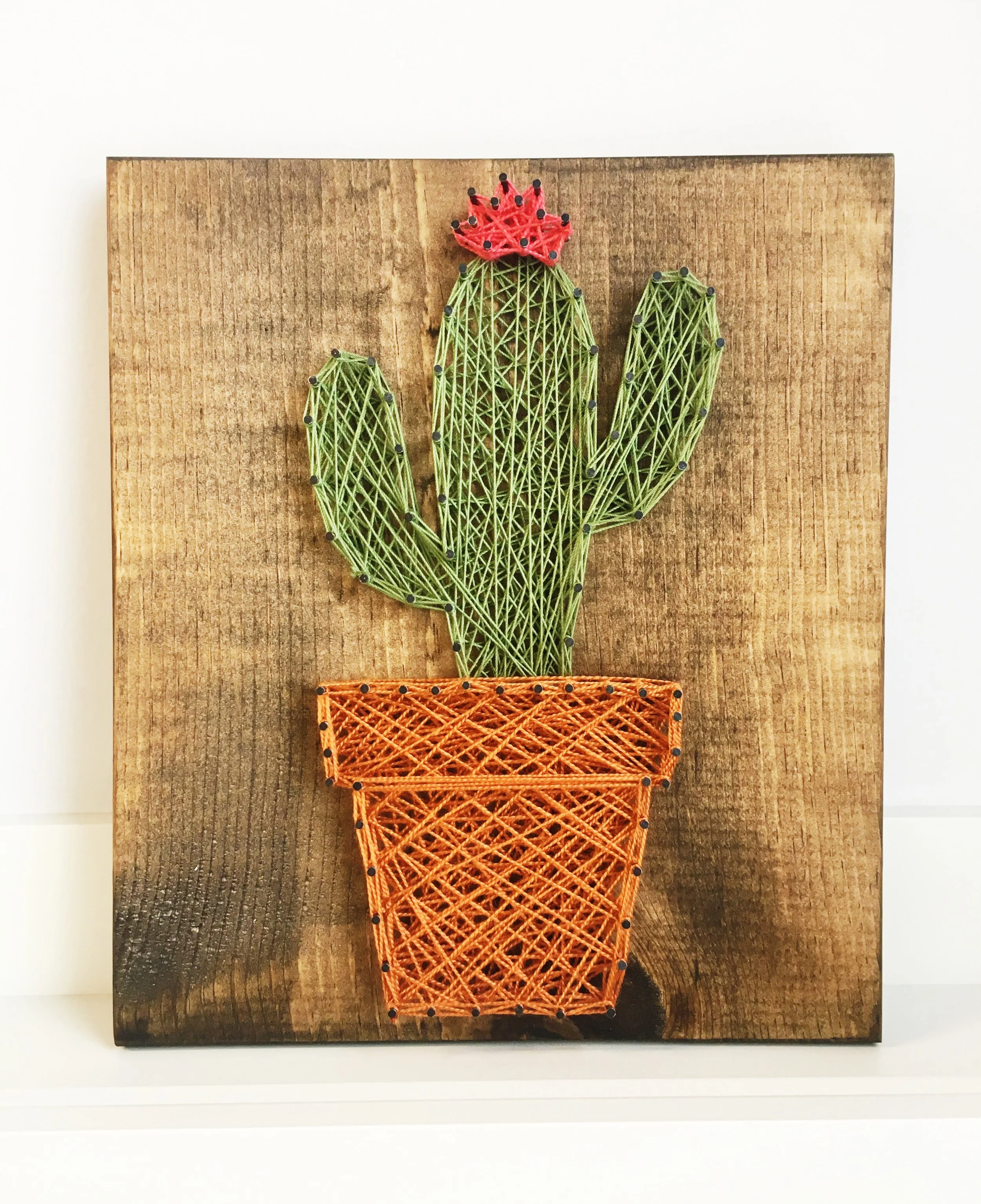 Cactus