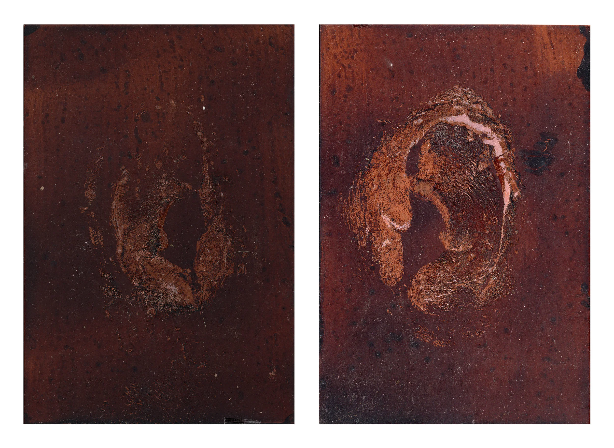 GENTLE TRANSACTION IX, 2018 Oil of cadaver #58 on copper plate 7" x 5" ( 17.8 x 12.7cm)