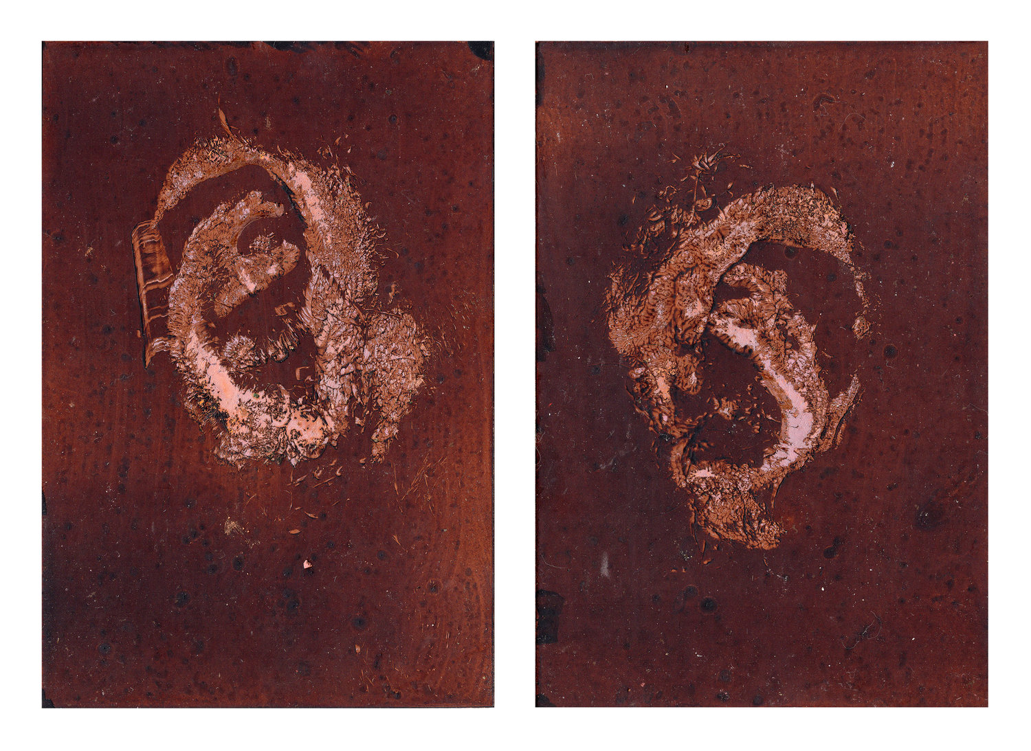 Selva Aparicio.  Gentle Transaction I,  2018. Oil of cadaver #86 on copper plate. 7 x 5 in.