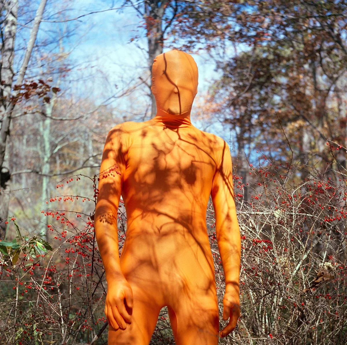 Matthew Morrocco, Standing Among Berries