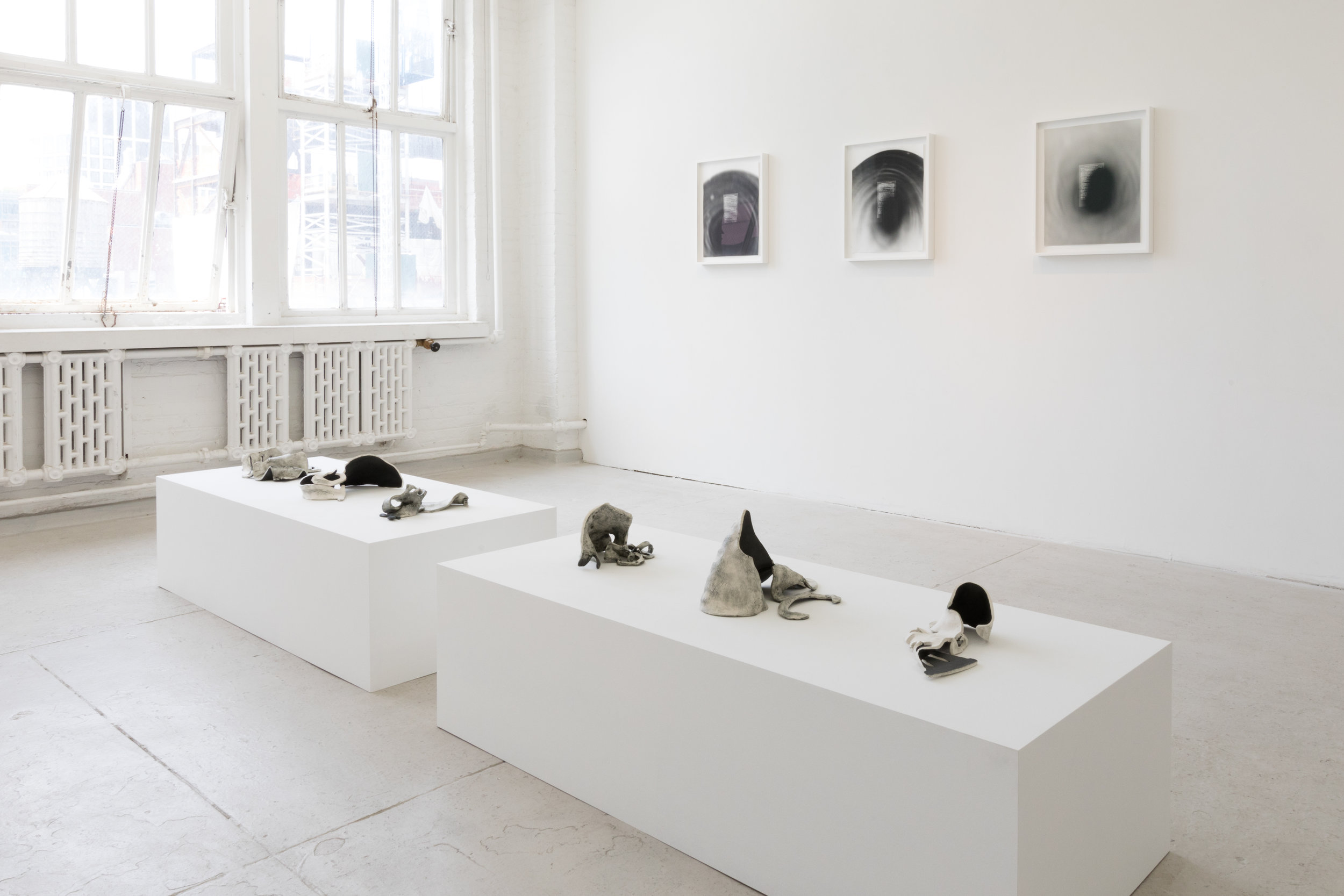 Installation view of  SCIENCE FICTIONS .