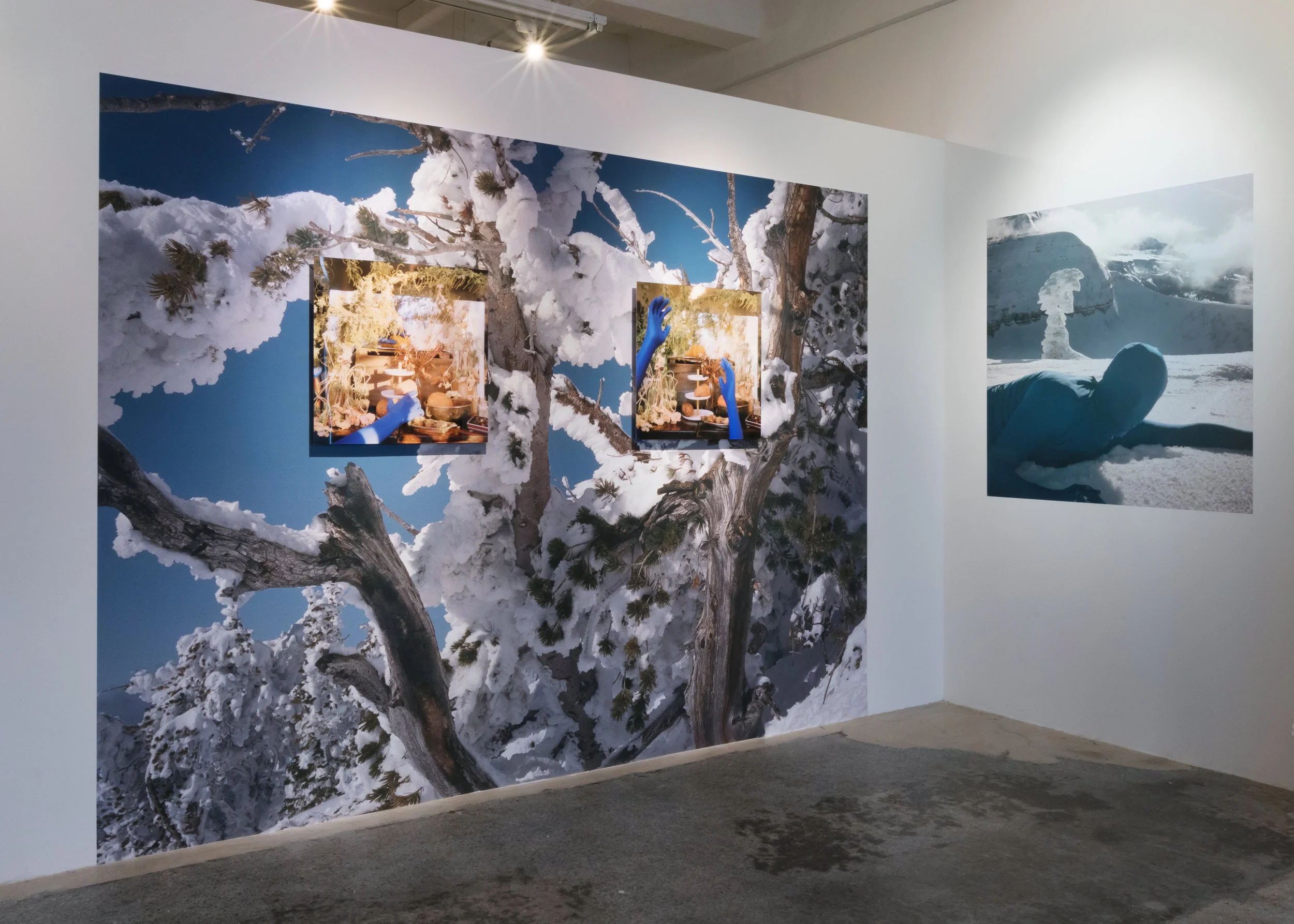 CC_Morrocco_ORCHID-winter_Install4.jpg