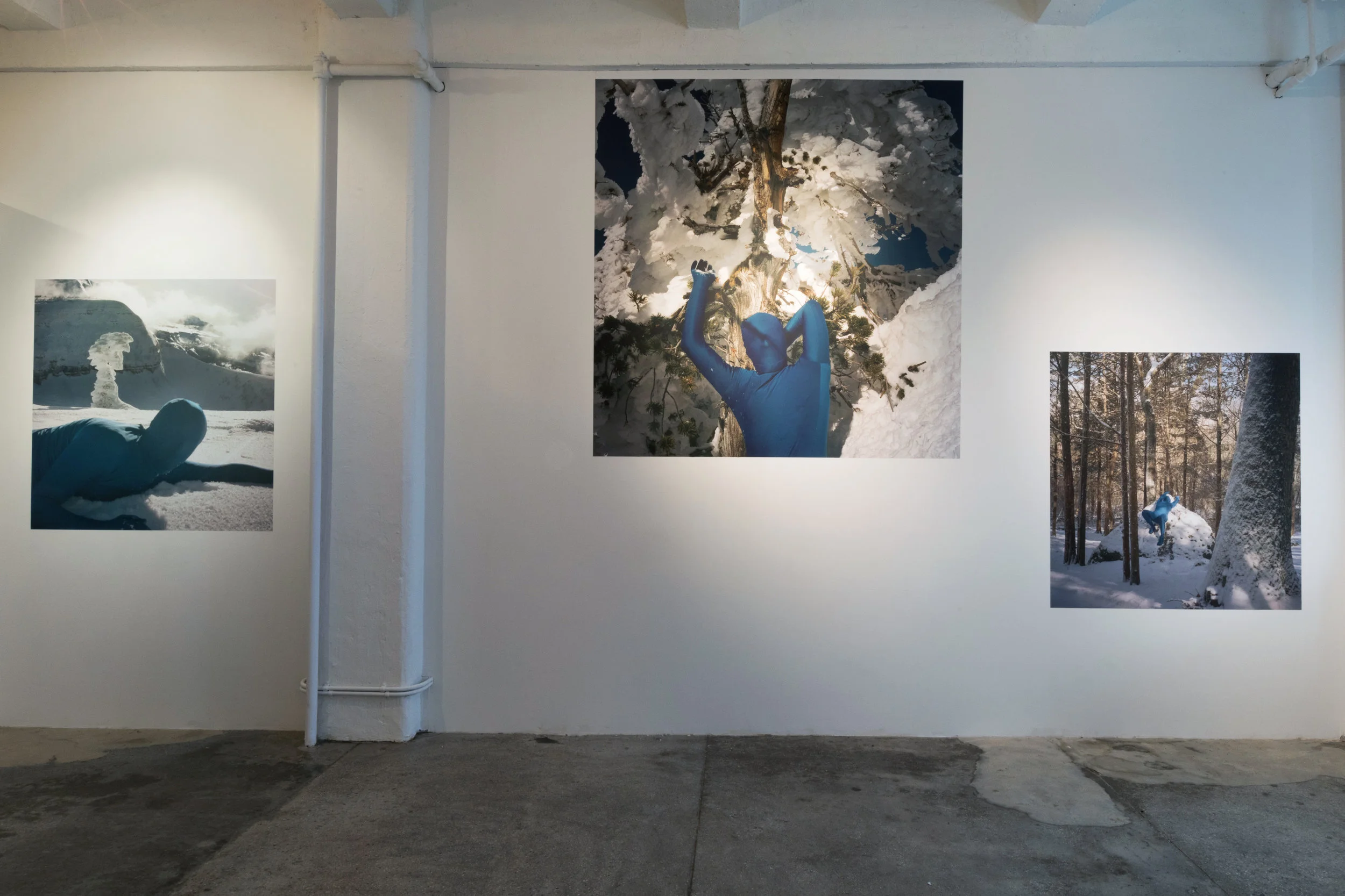 CC_Morrocco_ORCHID-winter_Install6.jpg