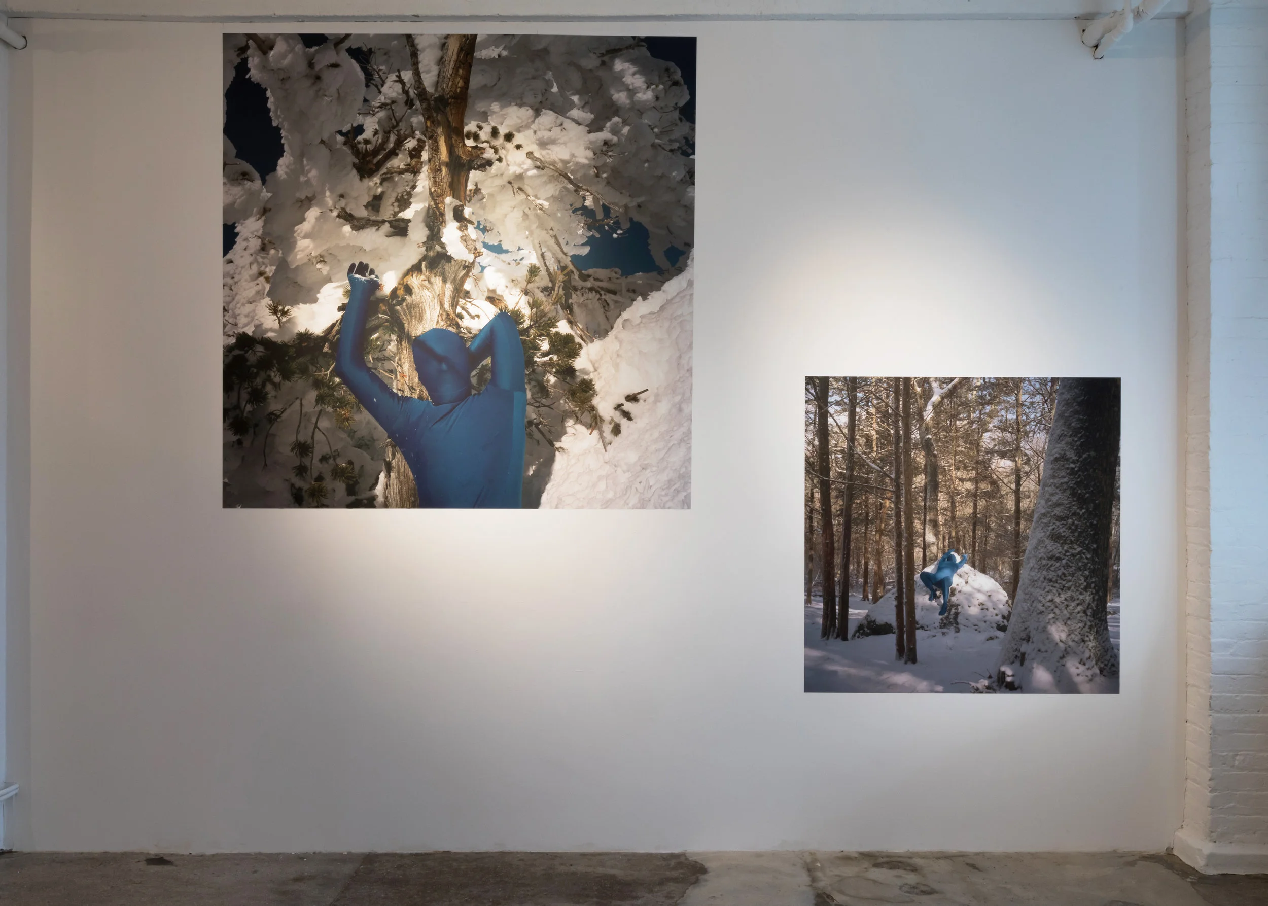 CC_Morrocco_ORCHID-winter_Install7.jpg