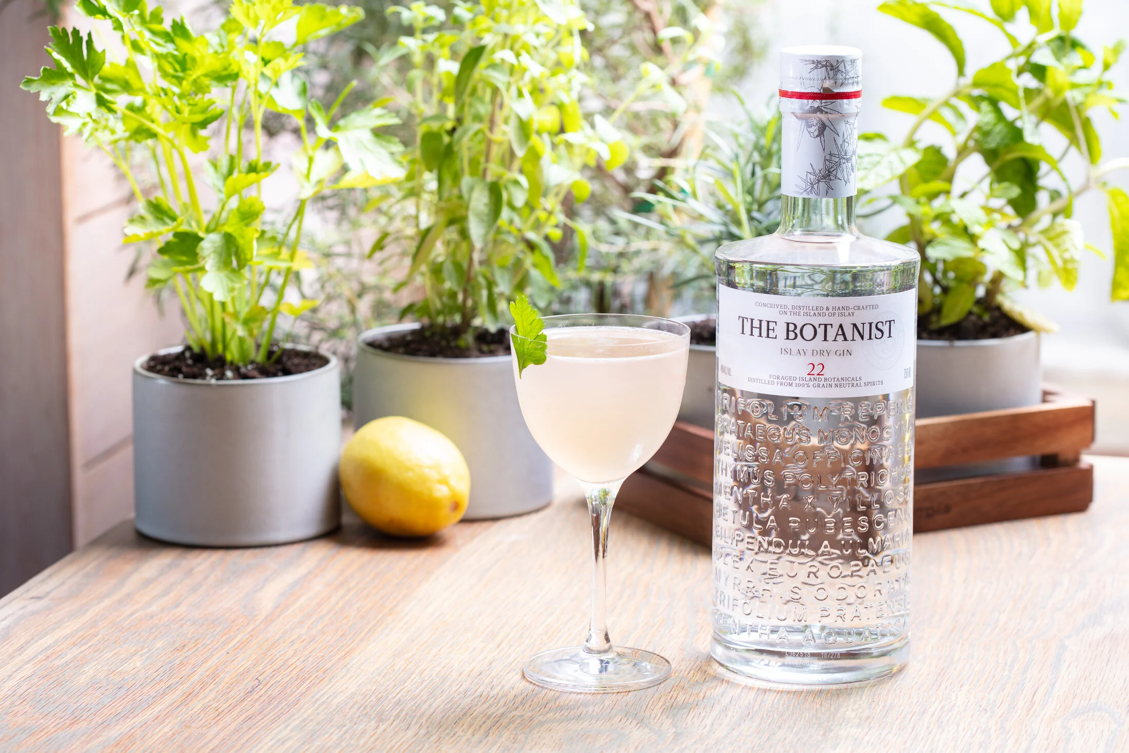 Botanist-Cocktail-3-37-Sm.jpg