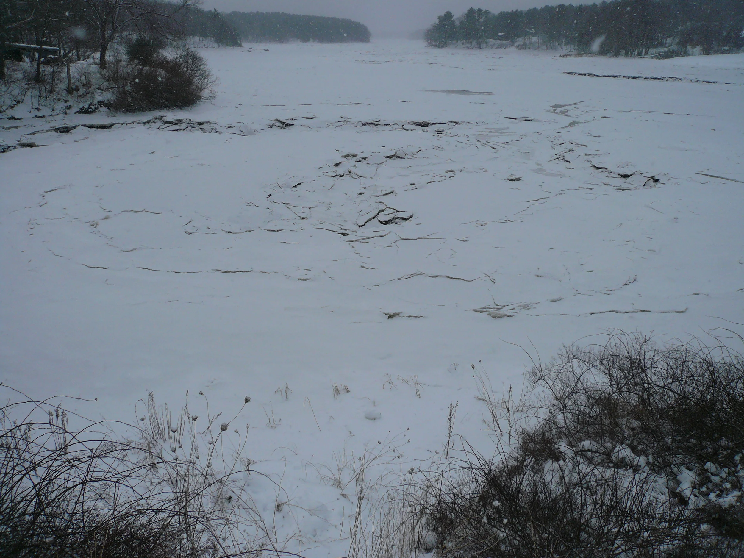 Maw, Medomak River, Waldoboro, ME, 2013