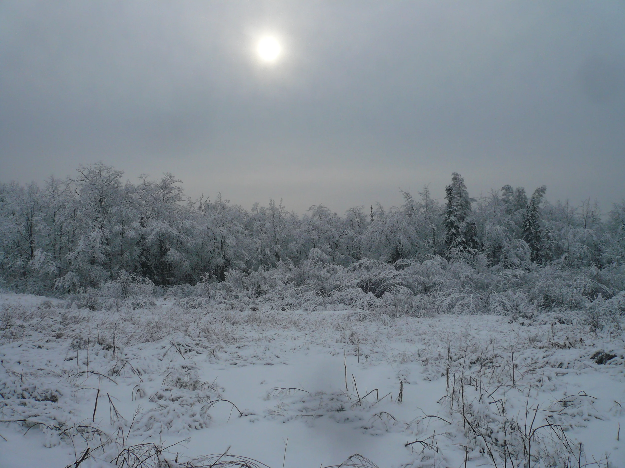 End of the Year, Waldoboro, ME, 2013