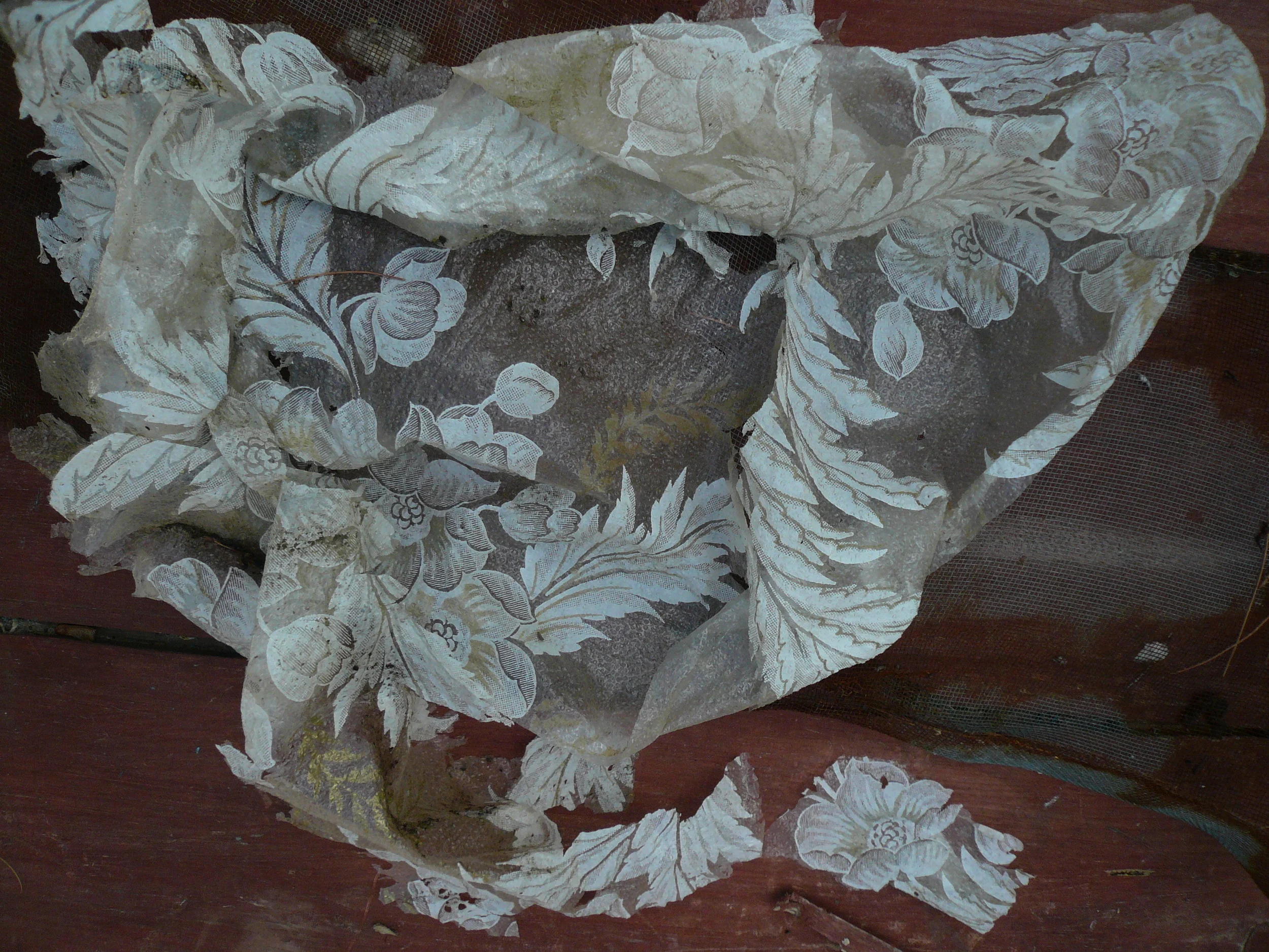 Scrim, 2015