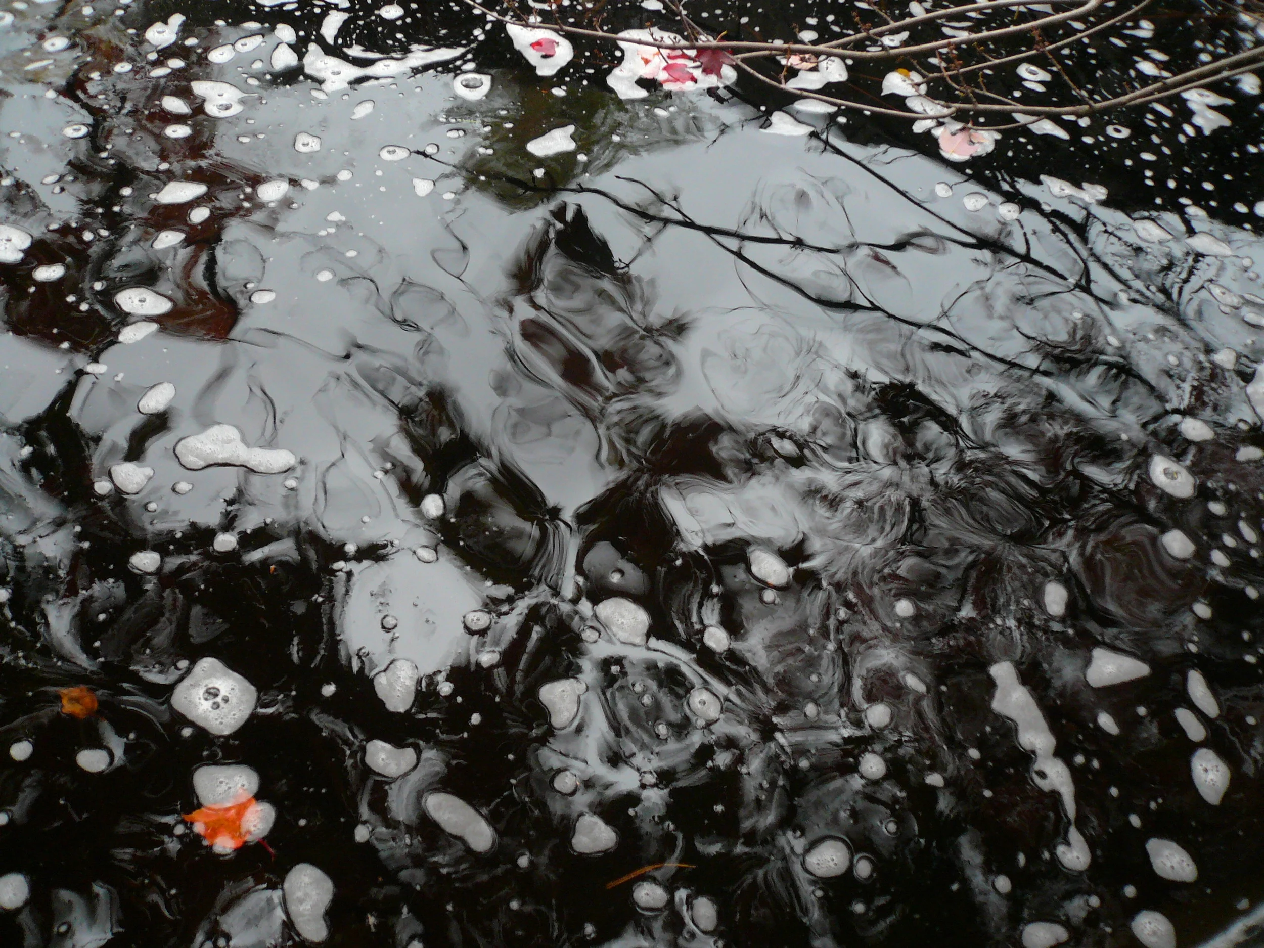 Black Water, 2015