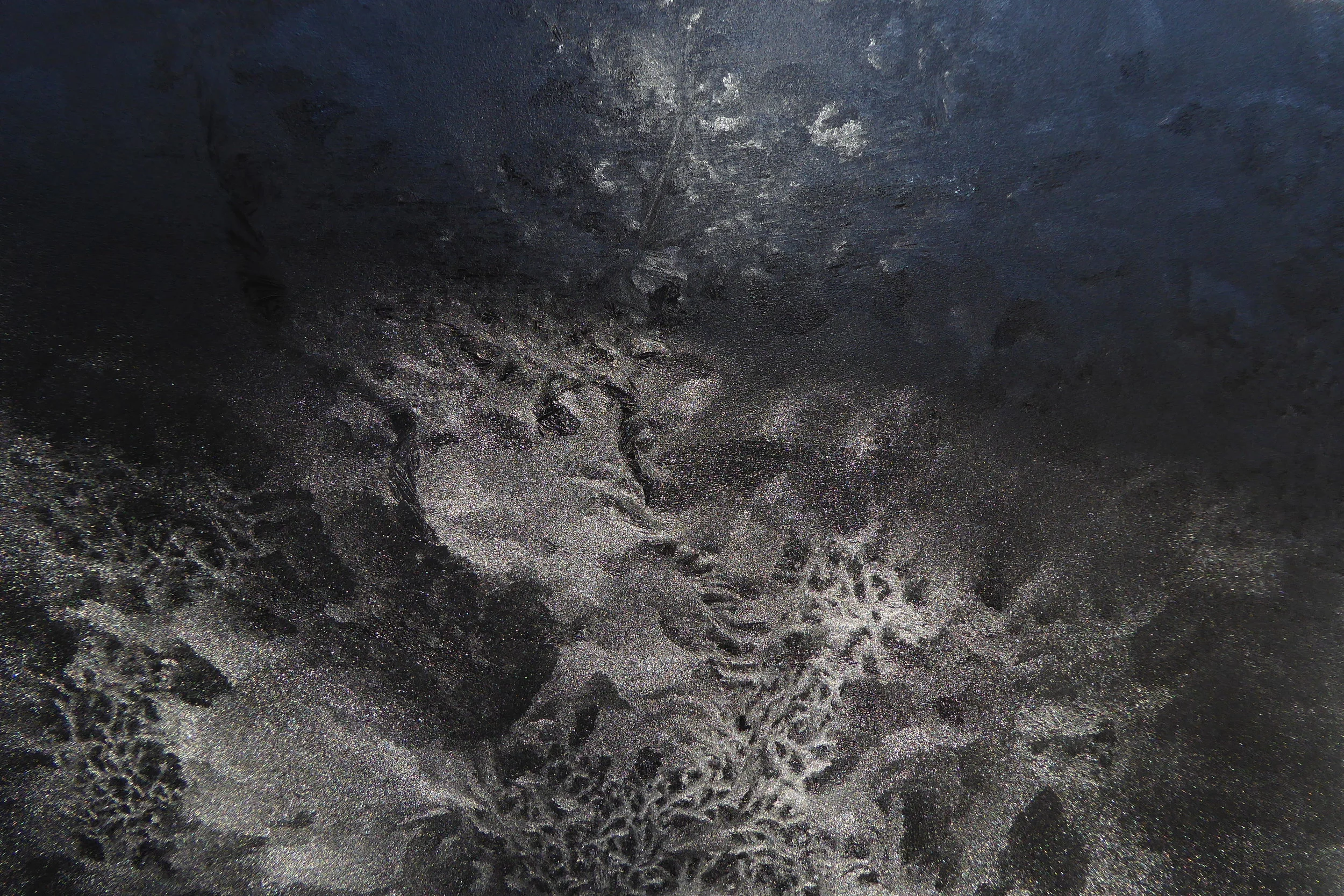 Full Fathom Five, 2017