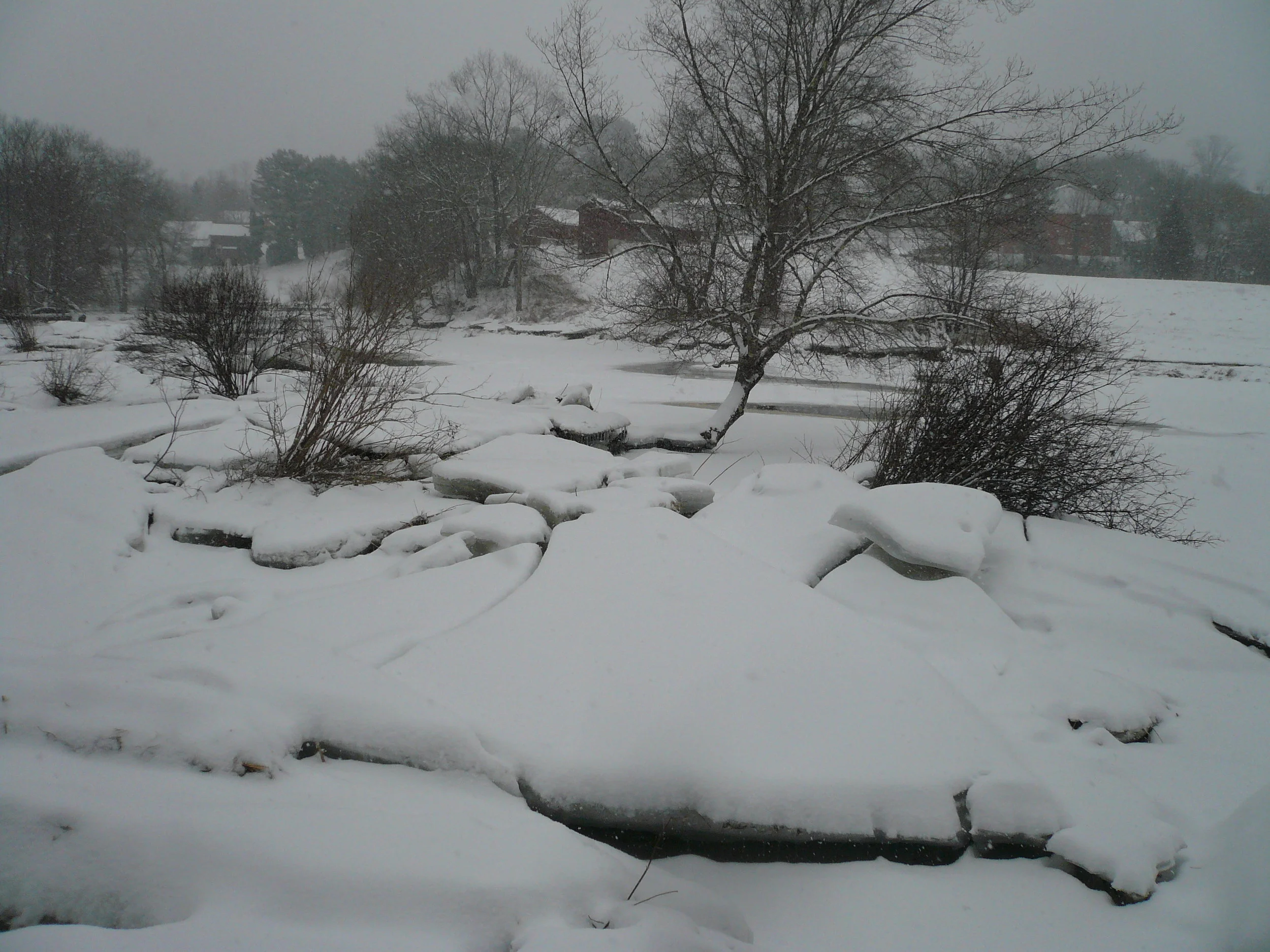 From Judy's, Medomak River, Waldoboro, ME, 2014