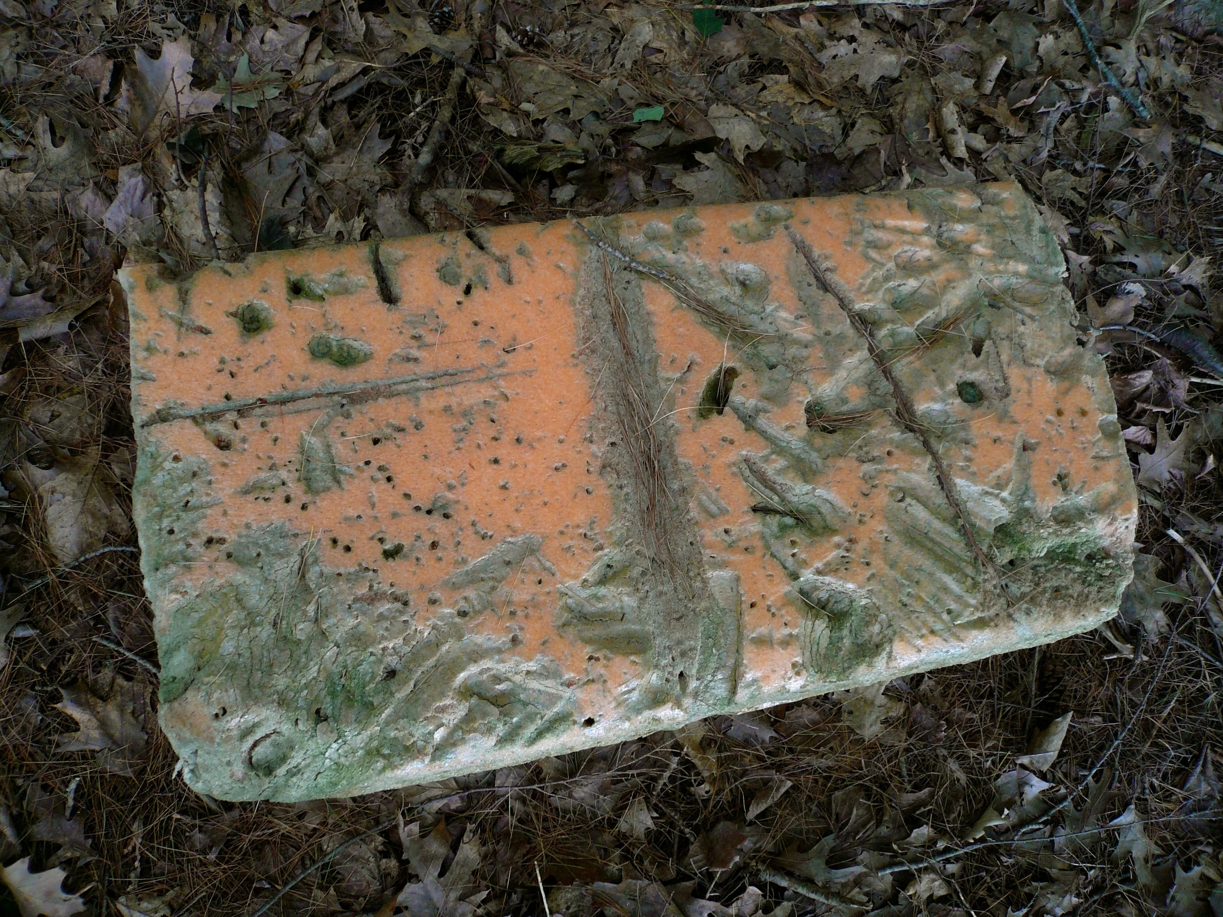 Float, 2012