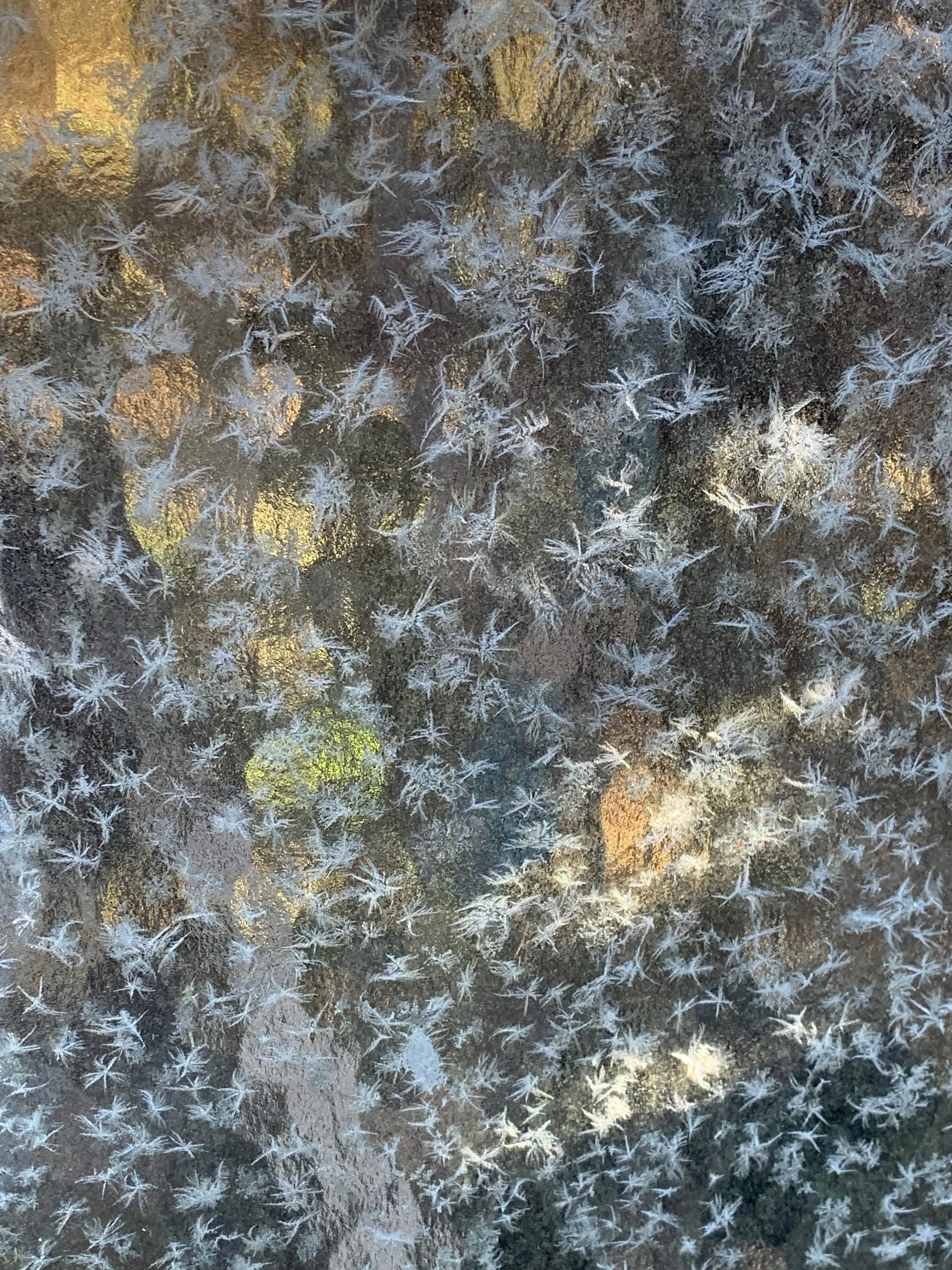 IMG_5682.jpeg