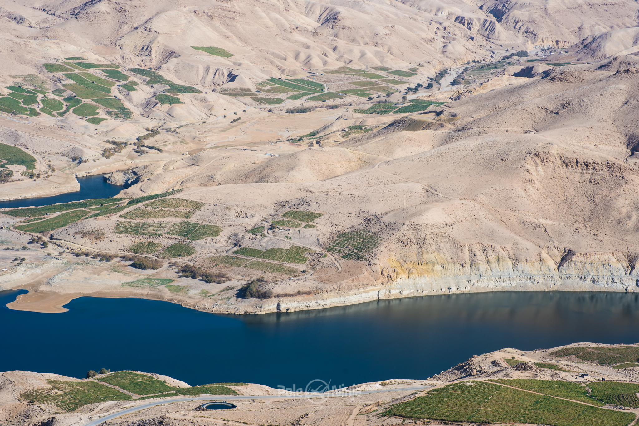 To me, when everywhere is just sand and dirt, and there's a sudden body of water with greenery, it's quite a striking image.