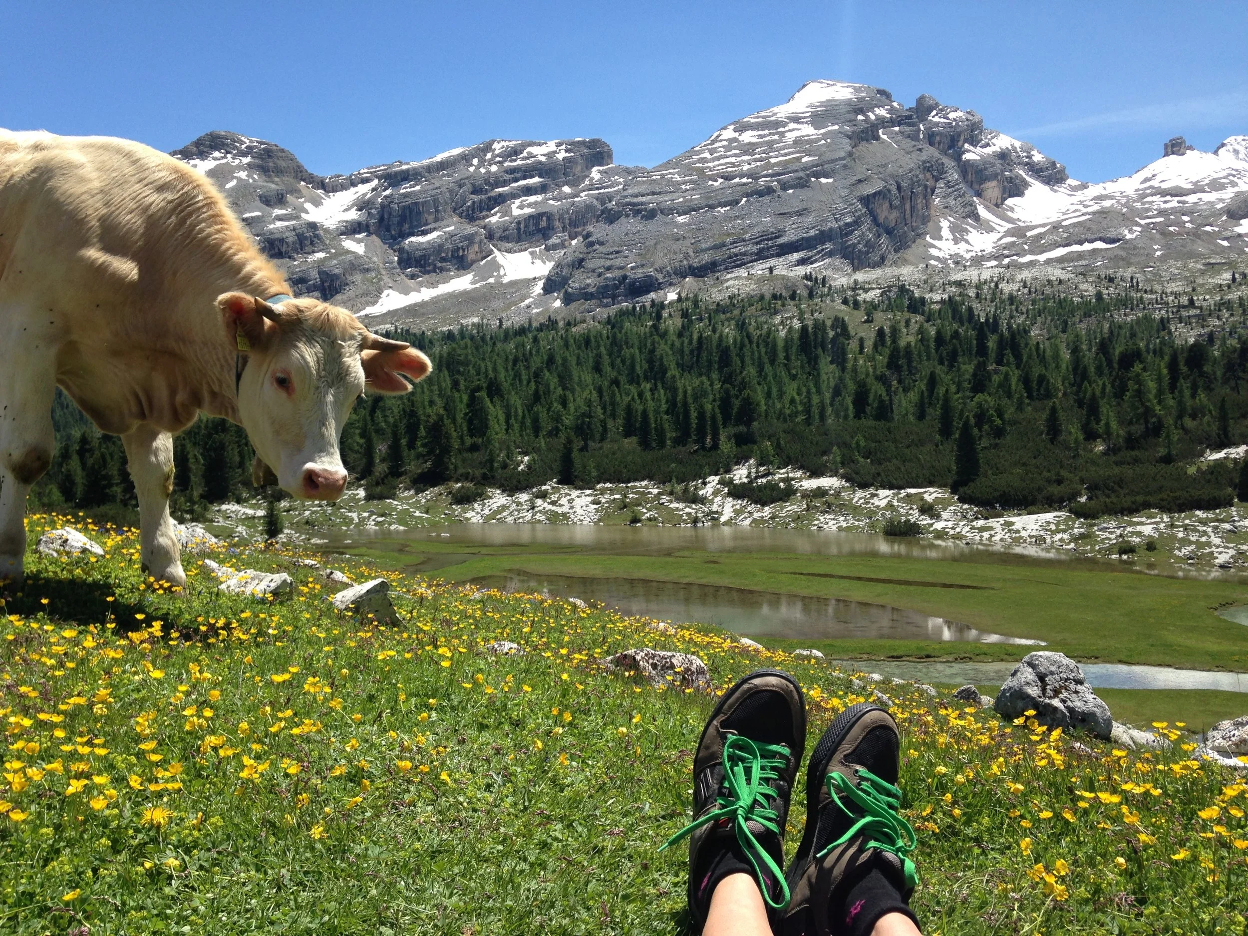 Rumpeldipumpel ist nominiert für die Wahl zum Top Fahrrad-Blog 2016 :)