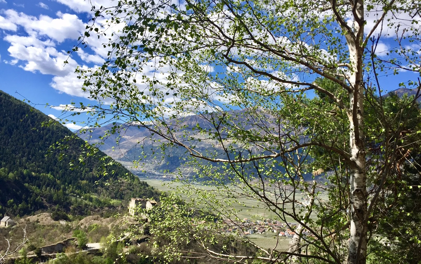 Vinschgau_Panorama.jpg
