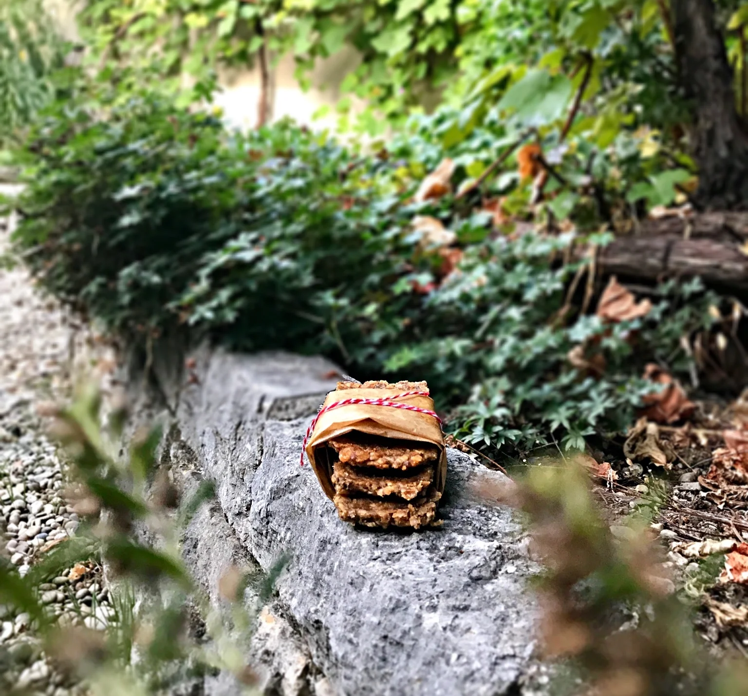 Erdnussbutter-Chia-Riegel – selbstgebacken 