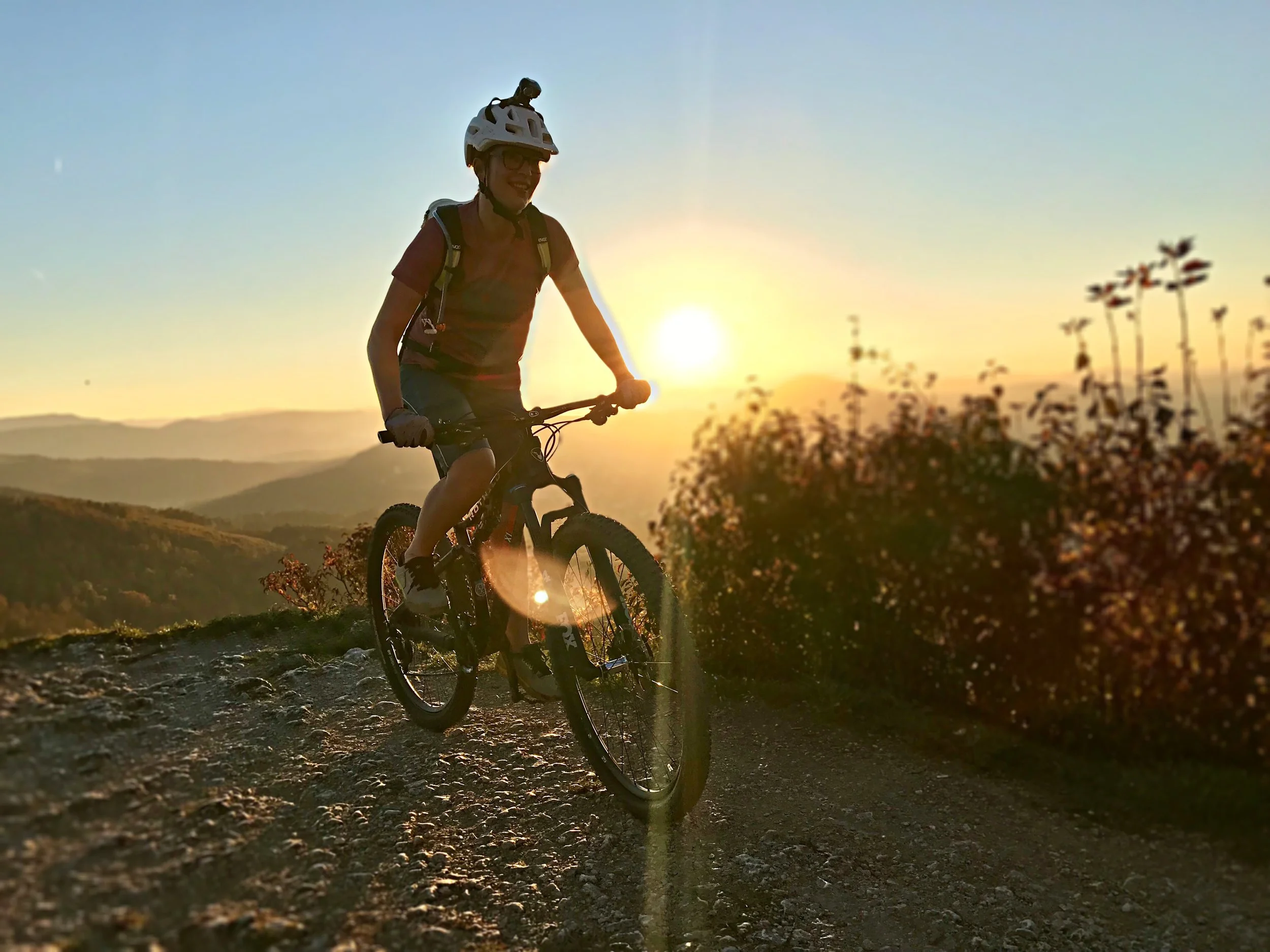 Alles hat seine Zeit 