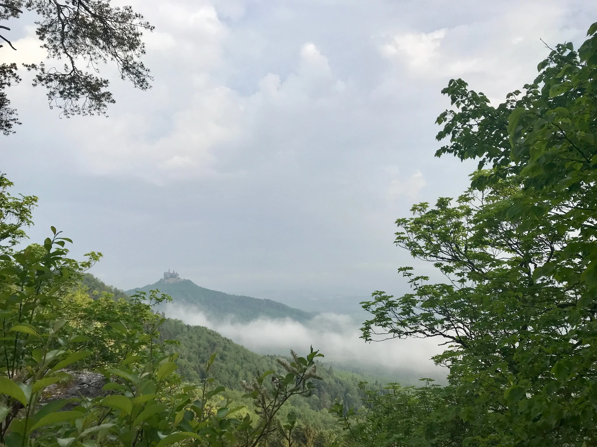Blick zur Burg Hohemzollern