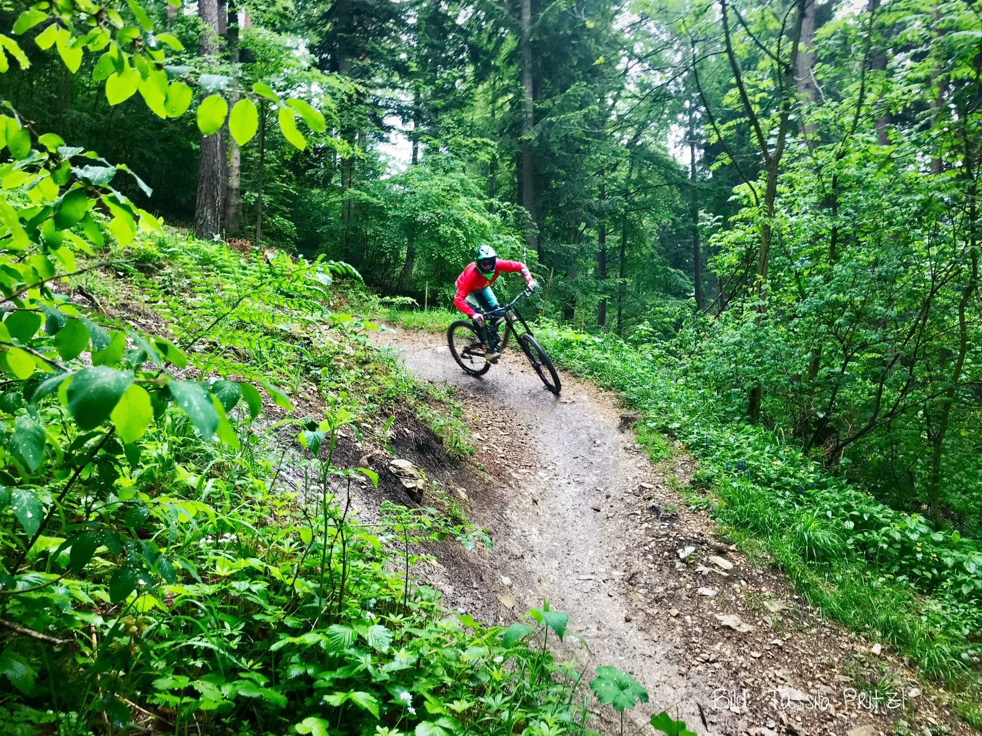 Albstadt_Bikepark_6.jpg