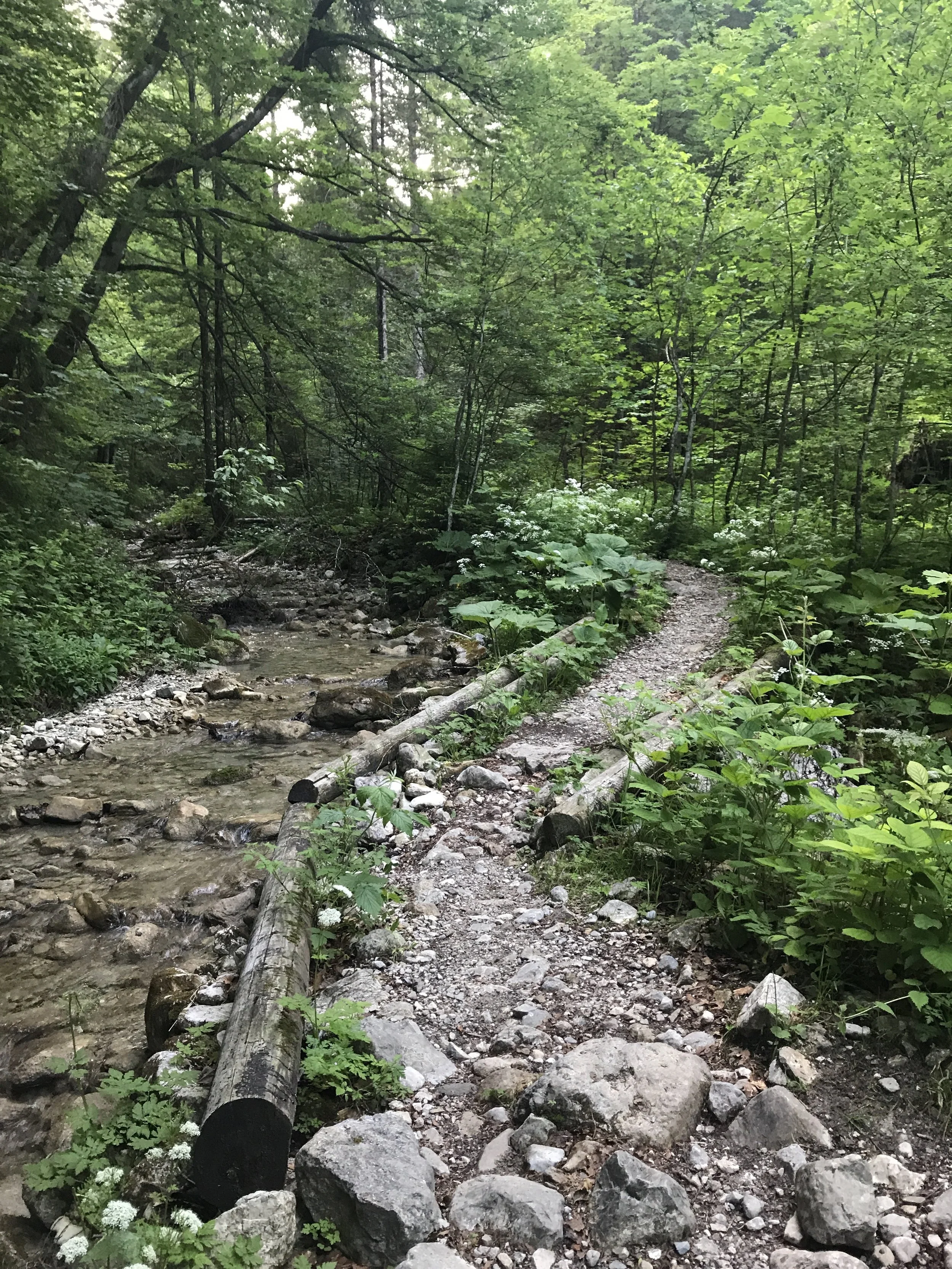 So sieht der Trail aus - mehr Zeit für Bilder war nicht...