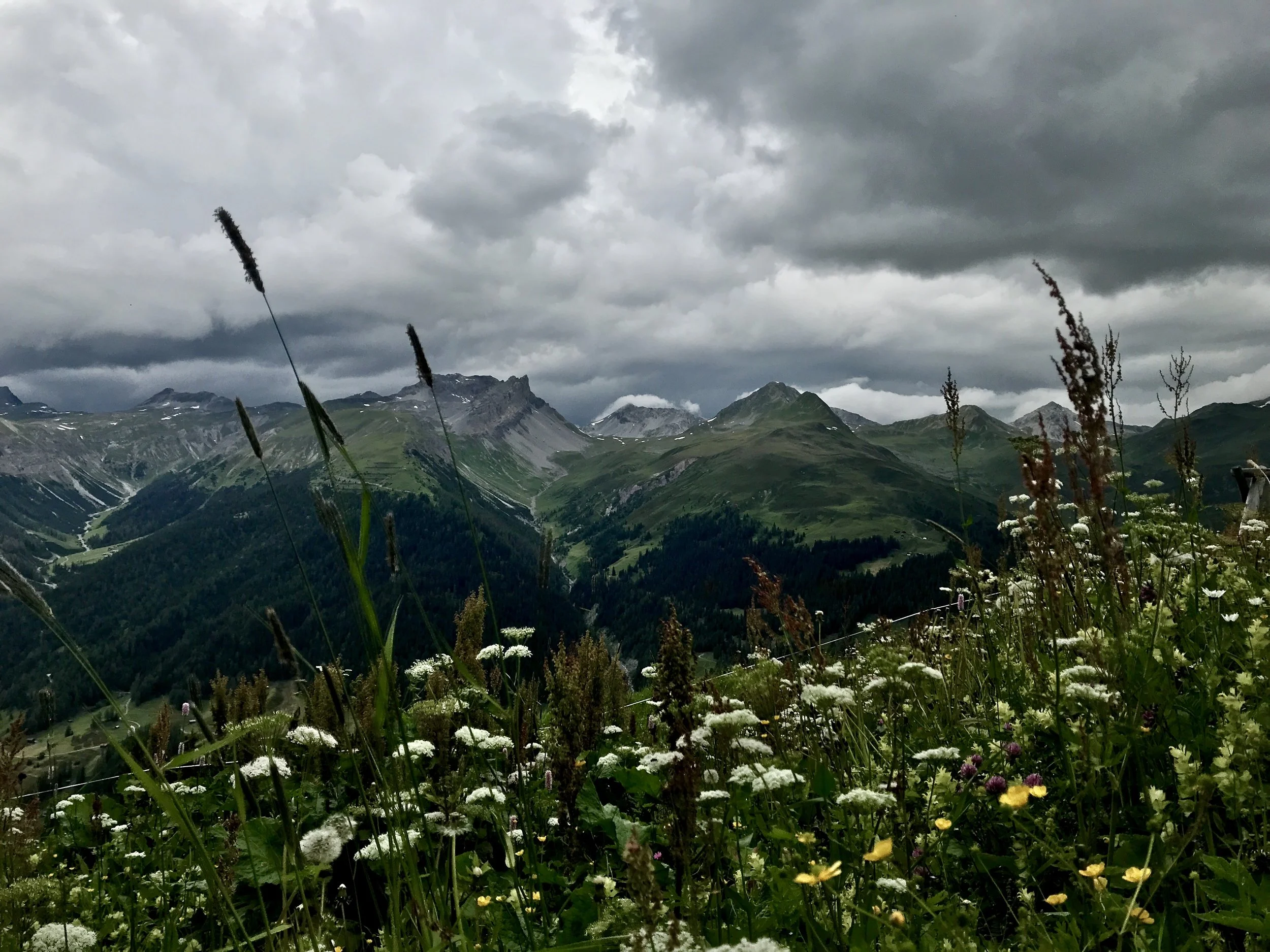 Blick vom Rinerhorn