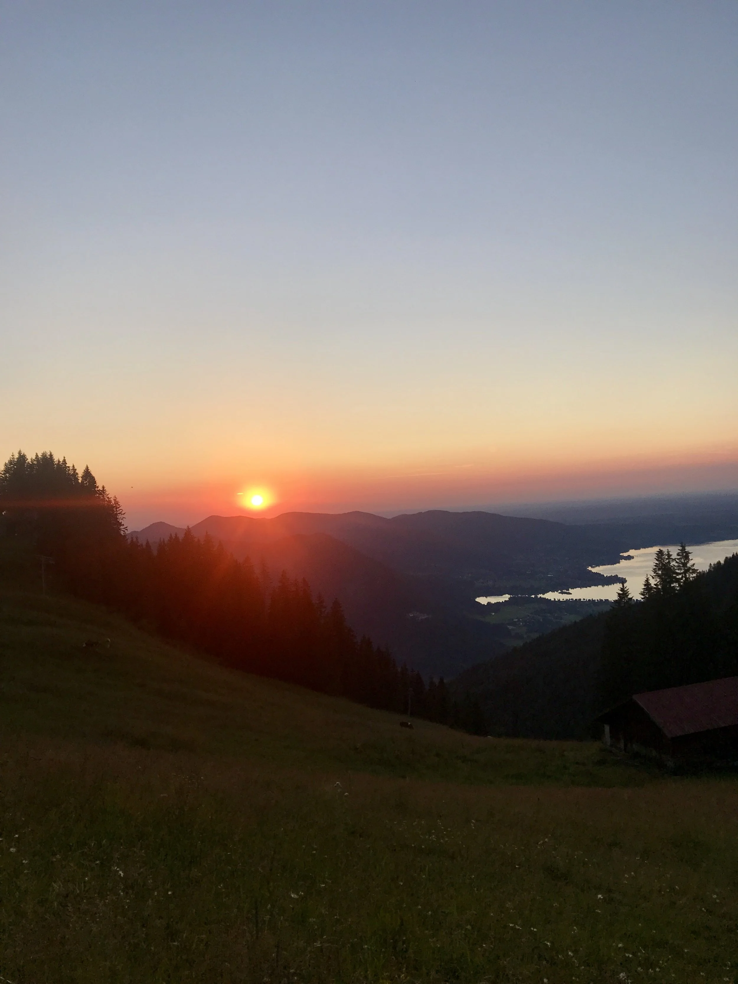 IMG_6223.jpg