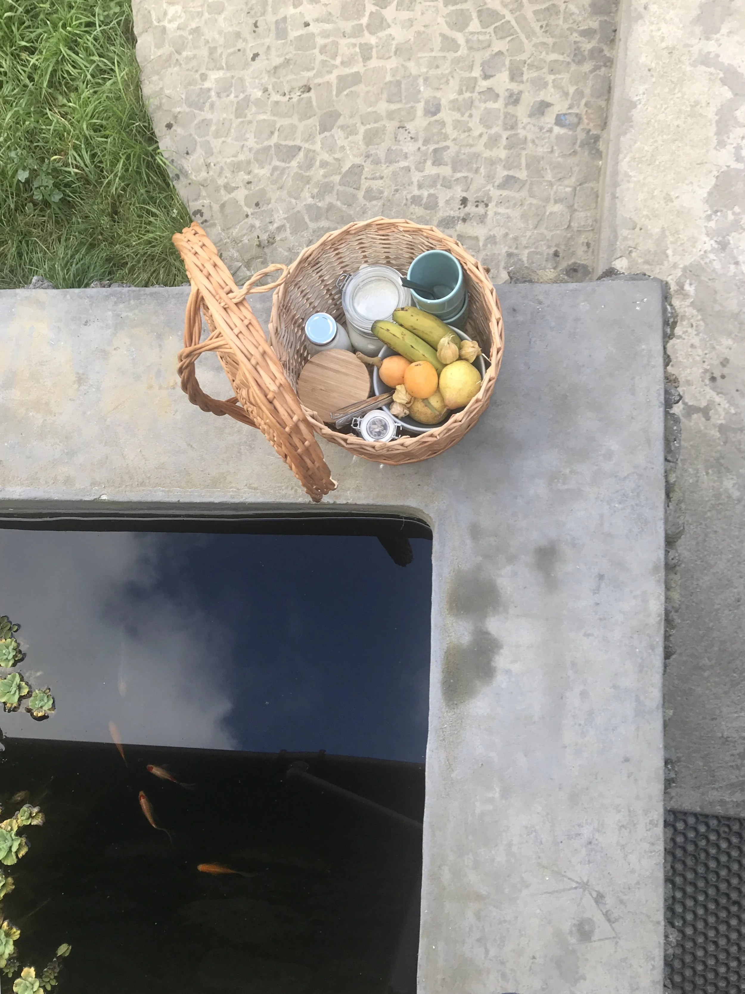 Jeden Morgen bringen uns Kat und André unser Frühstück vorbei