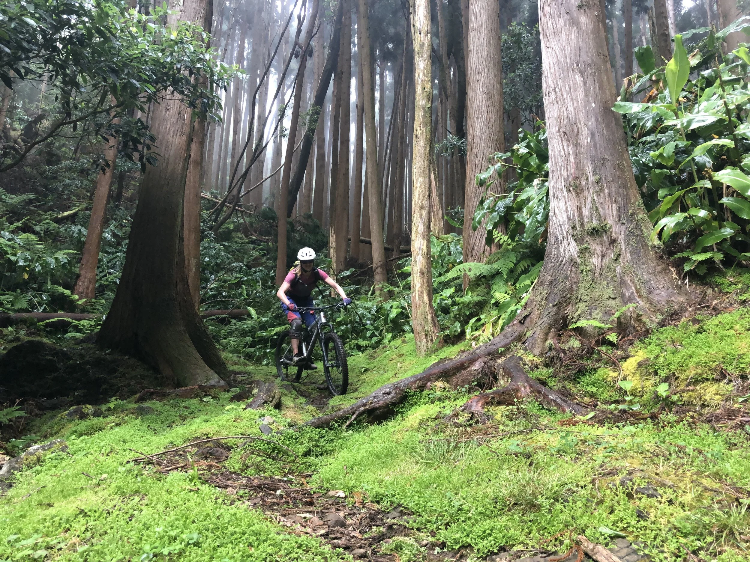 Mountainbiken auf den Azoren – Santa Maria