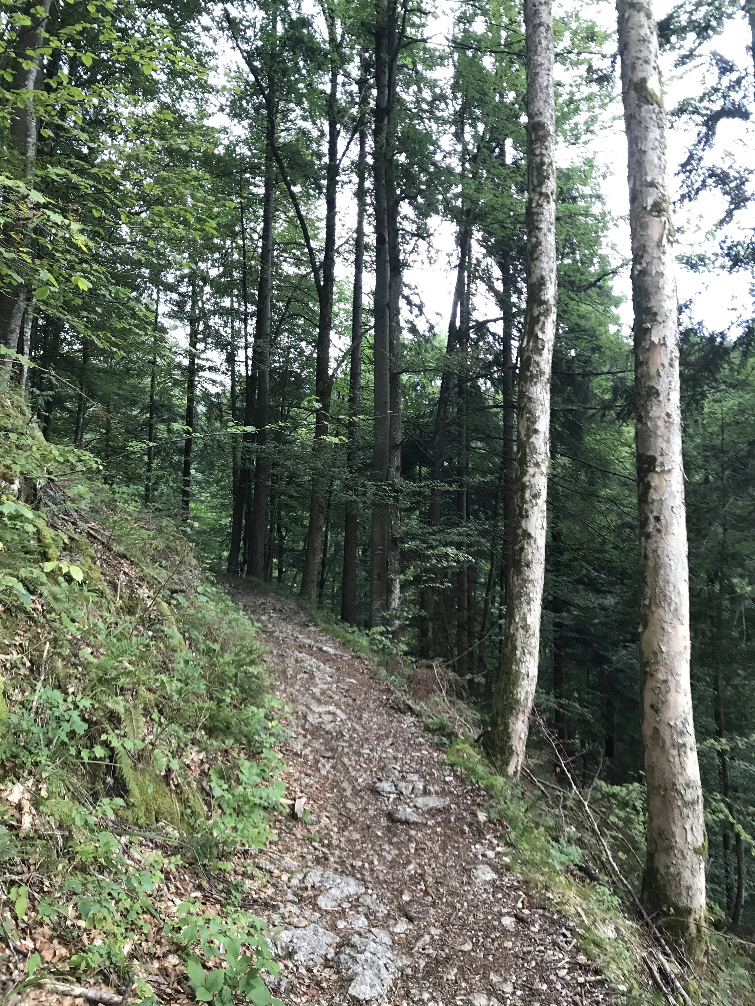 Der Trail ist einfach...